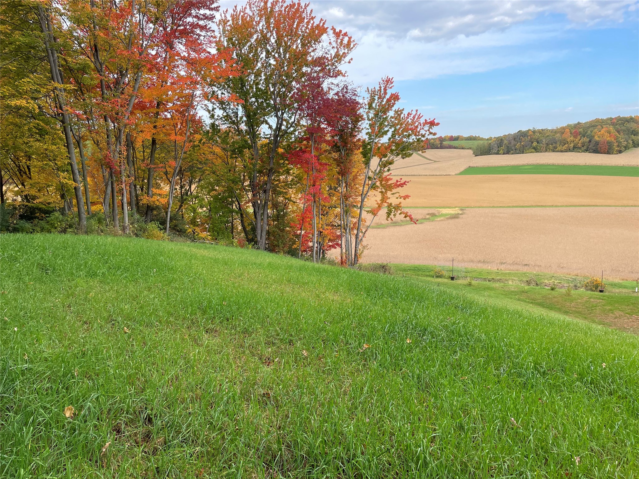 S7256 Sunrise Drive Property Photo 38