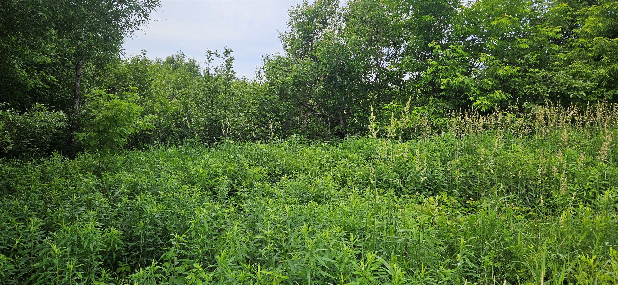 Lot C Windrose Lane Property Photo 1