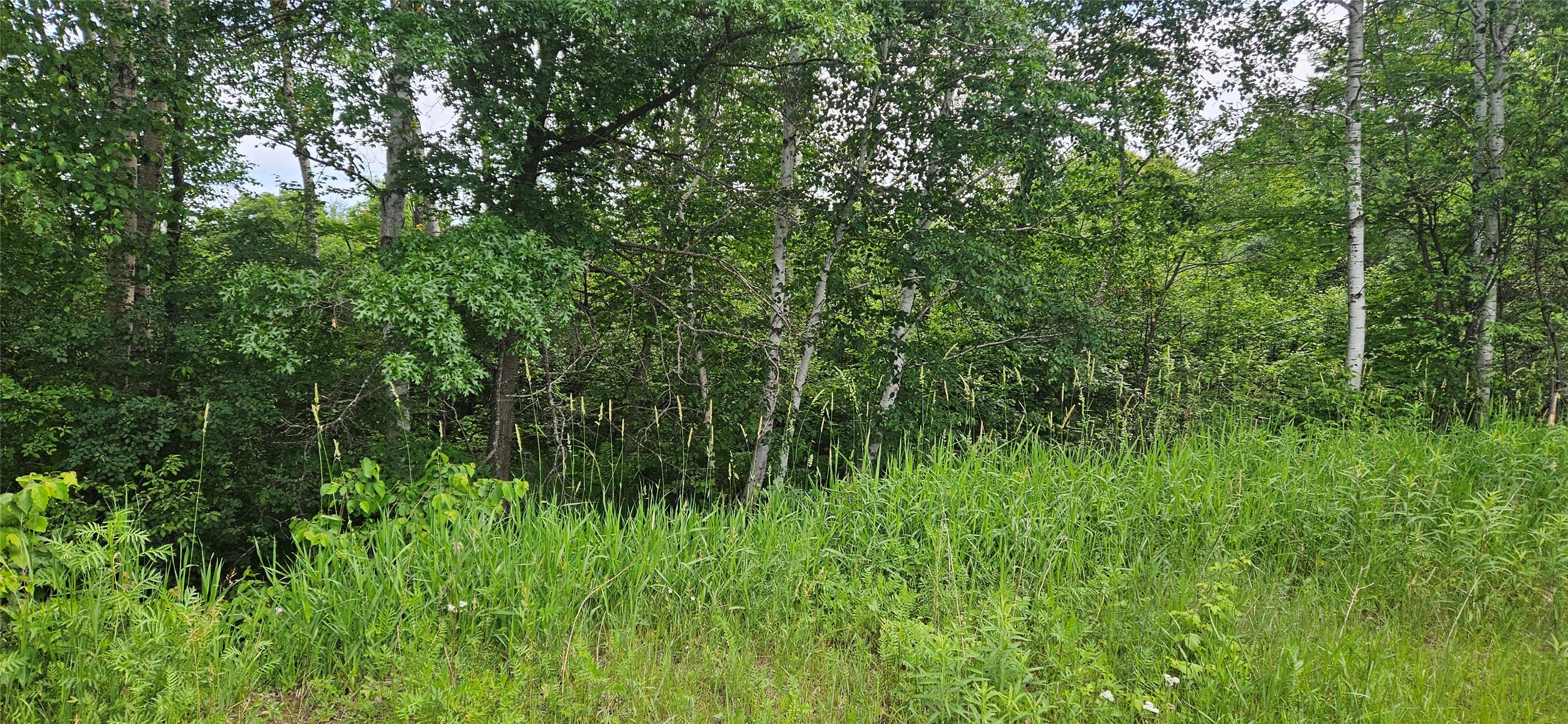 Lot C Windrose Lane Property Photo 6