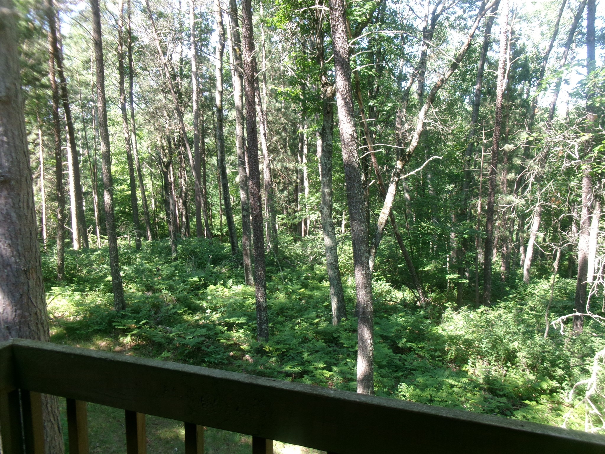 N8151 Cattail Lane Property Photo 15