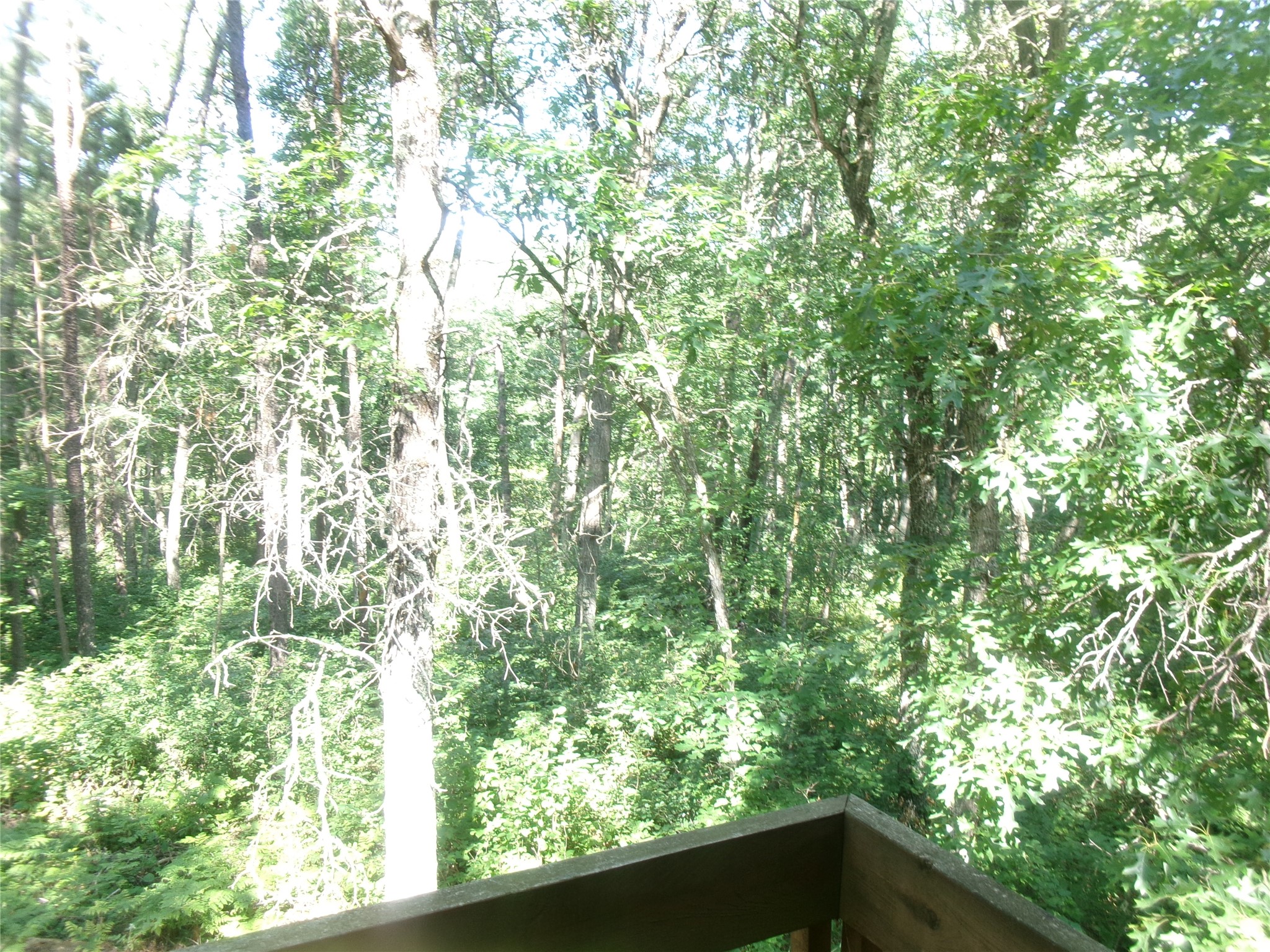 N8151 Cattail Lane Property Photo 16