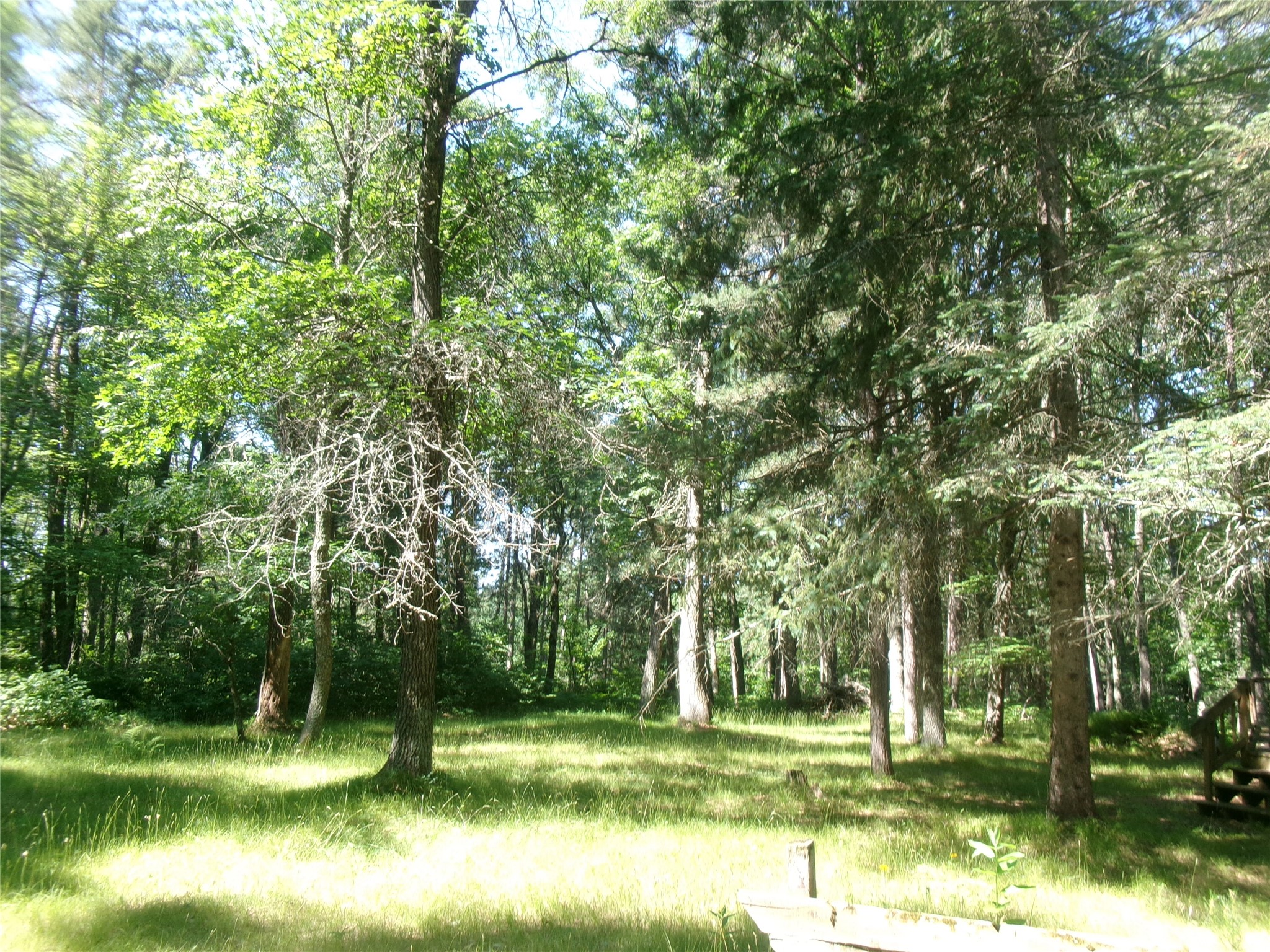 N8151 Cattail Lane Property Photo 22