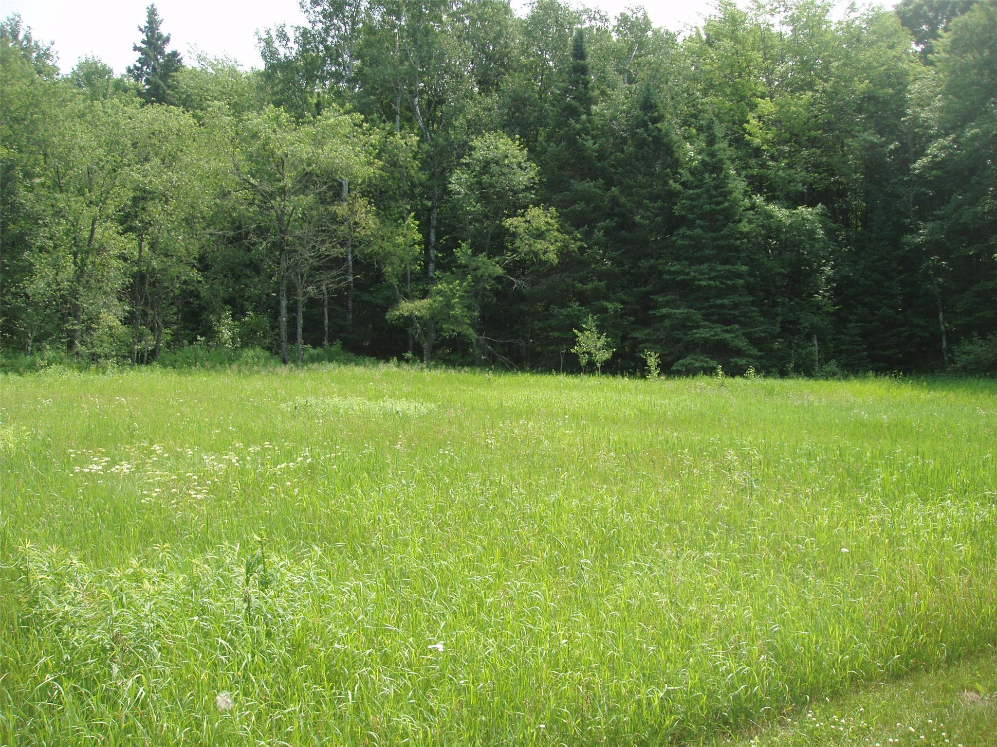 2460n County Highway Ff Property Photo 9