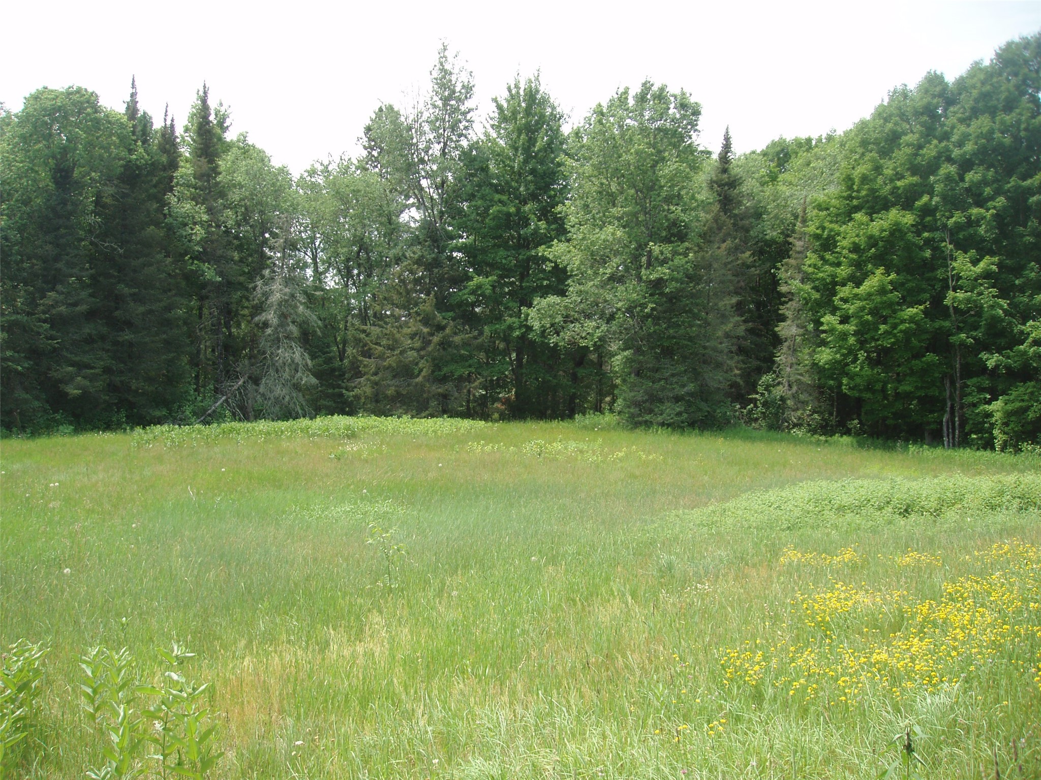 2460n County Highway Ff Property Photo 22
