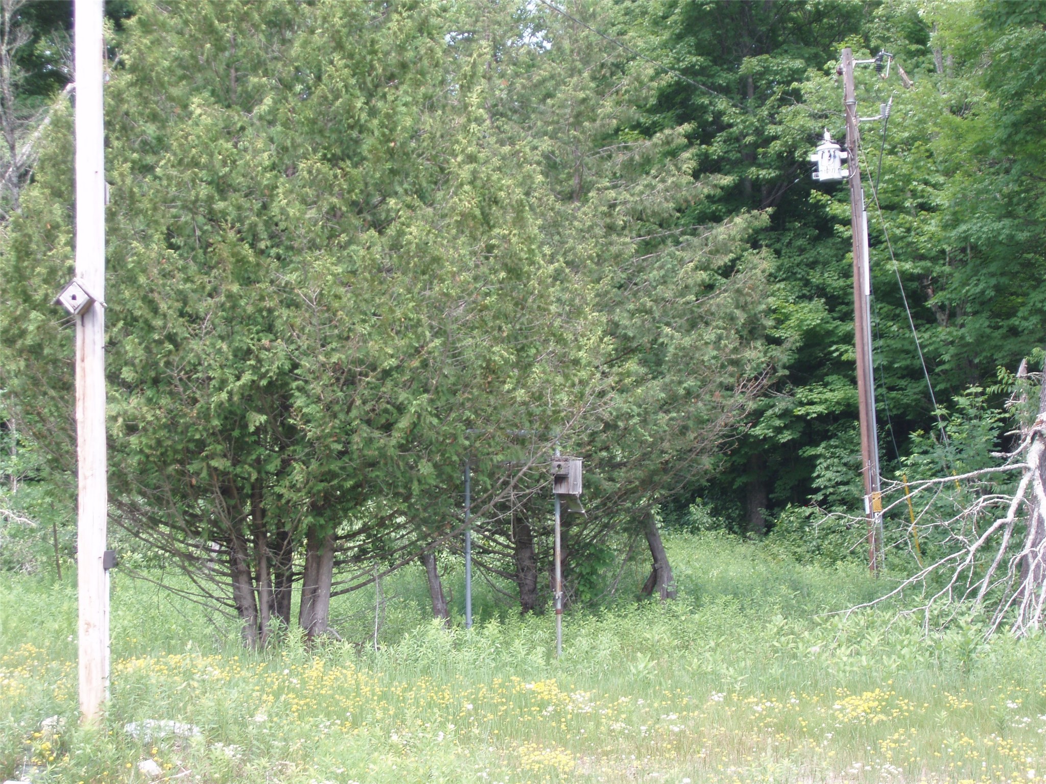 2460n County Highway Ff Property Photo 27