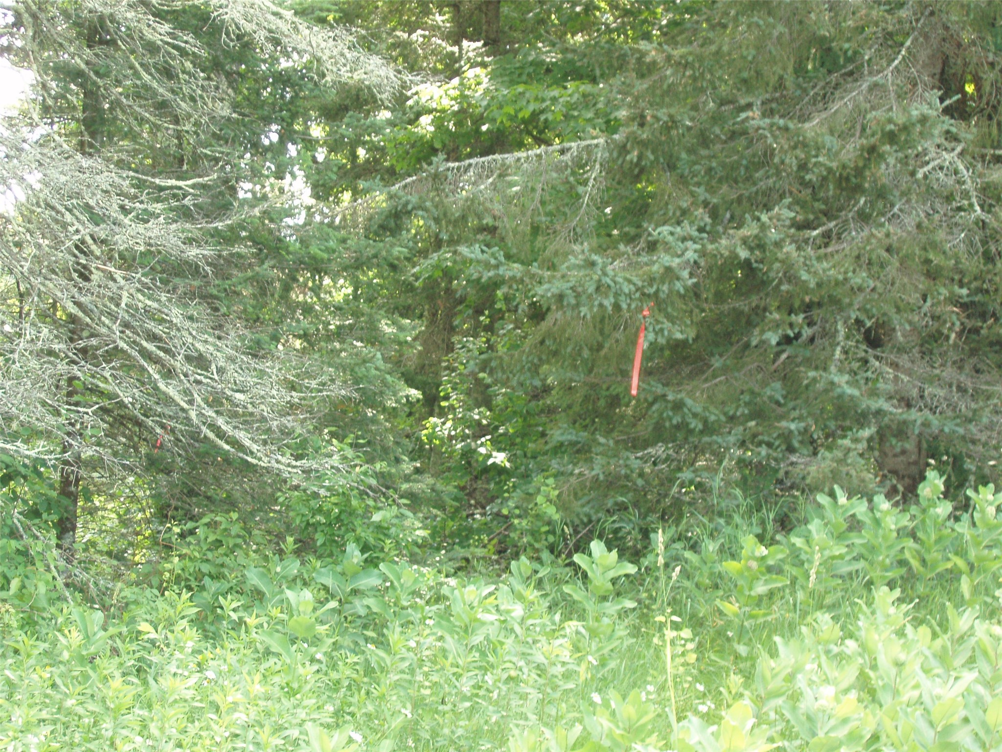 2460n County Highway Ff Property Photo 32