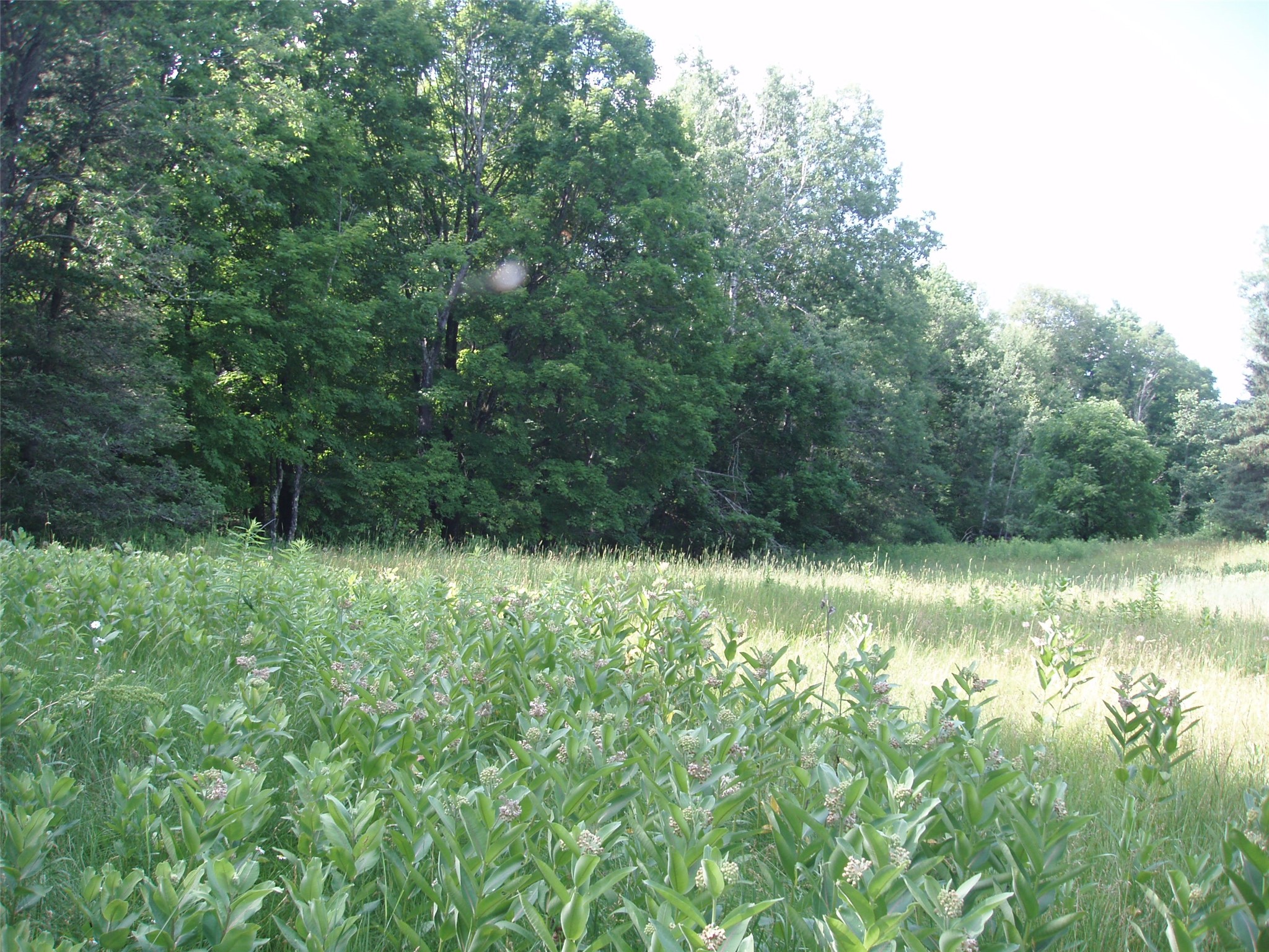 2460n County Highway Ff Property Photo 33