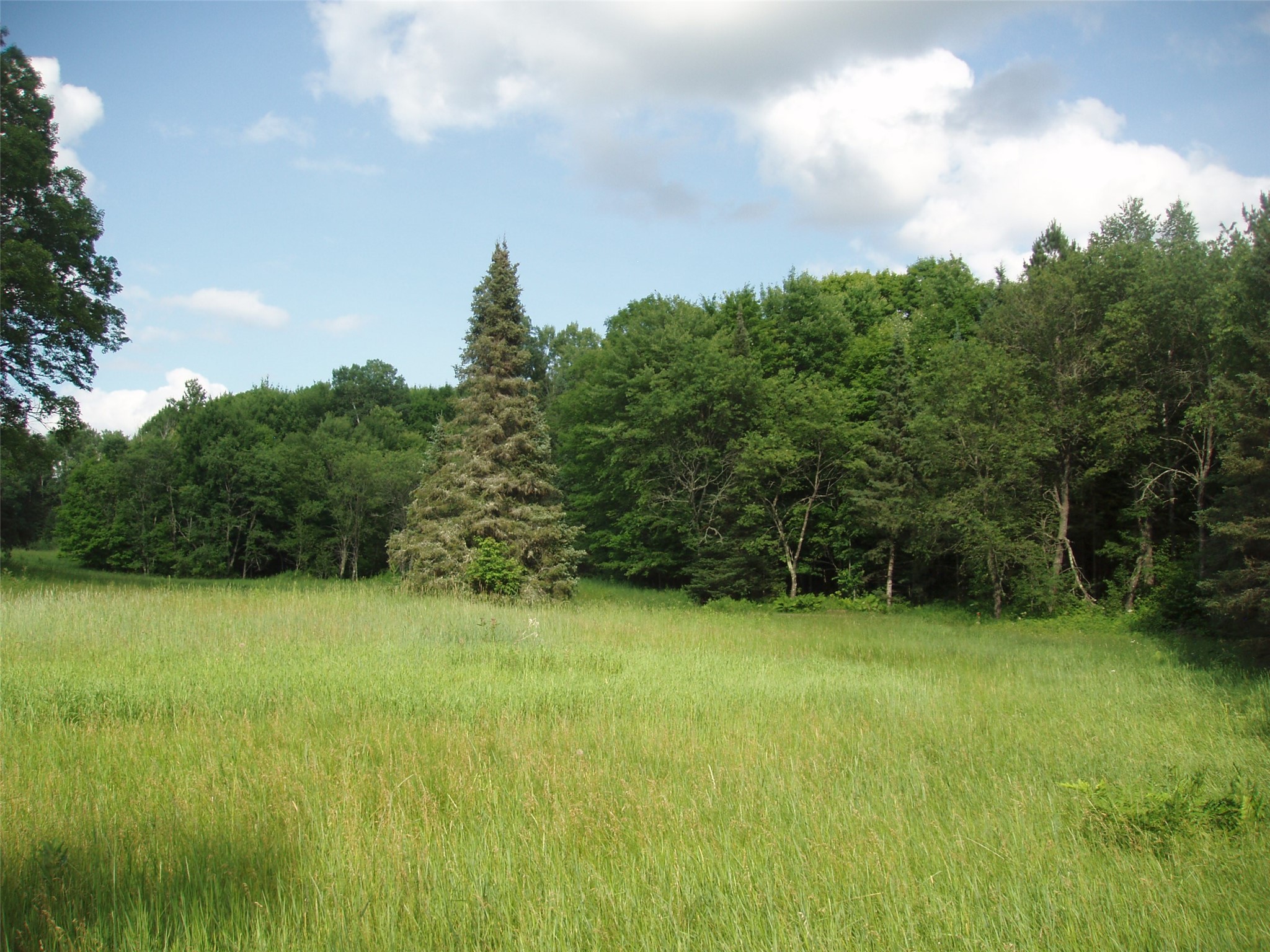 2460n County Highway Ff Property Photo 34