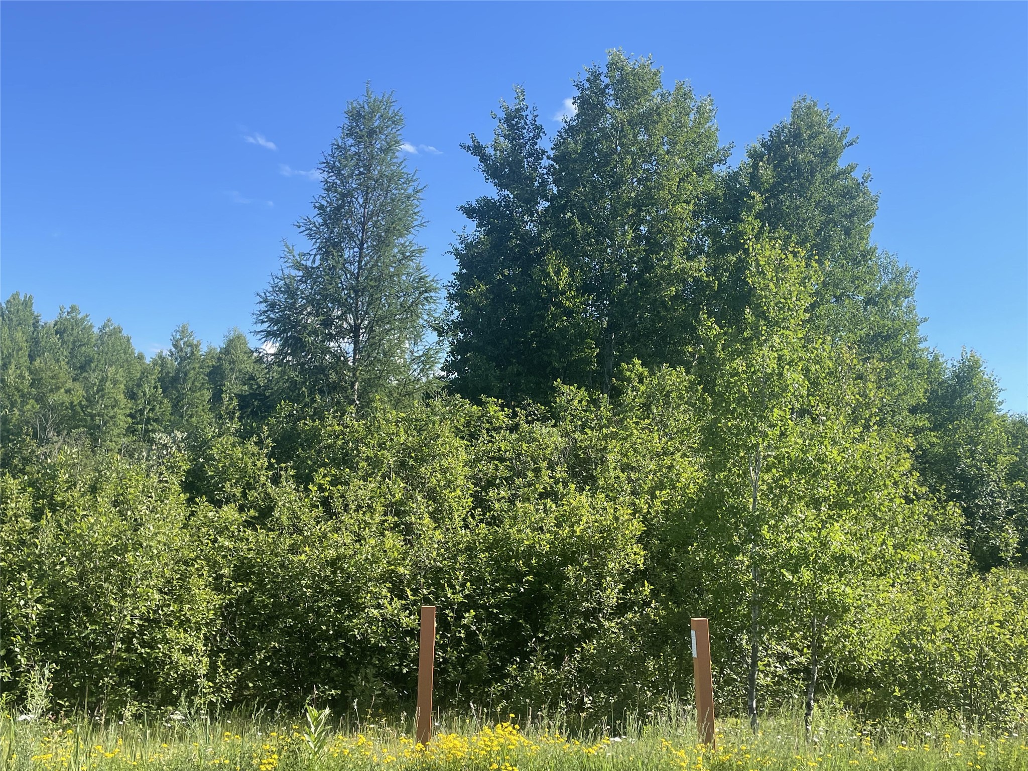 39+/- A On County Highway E Property Photo 2