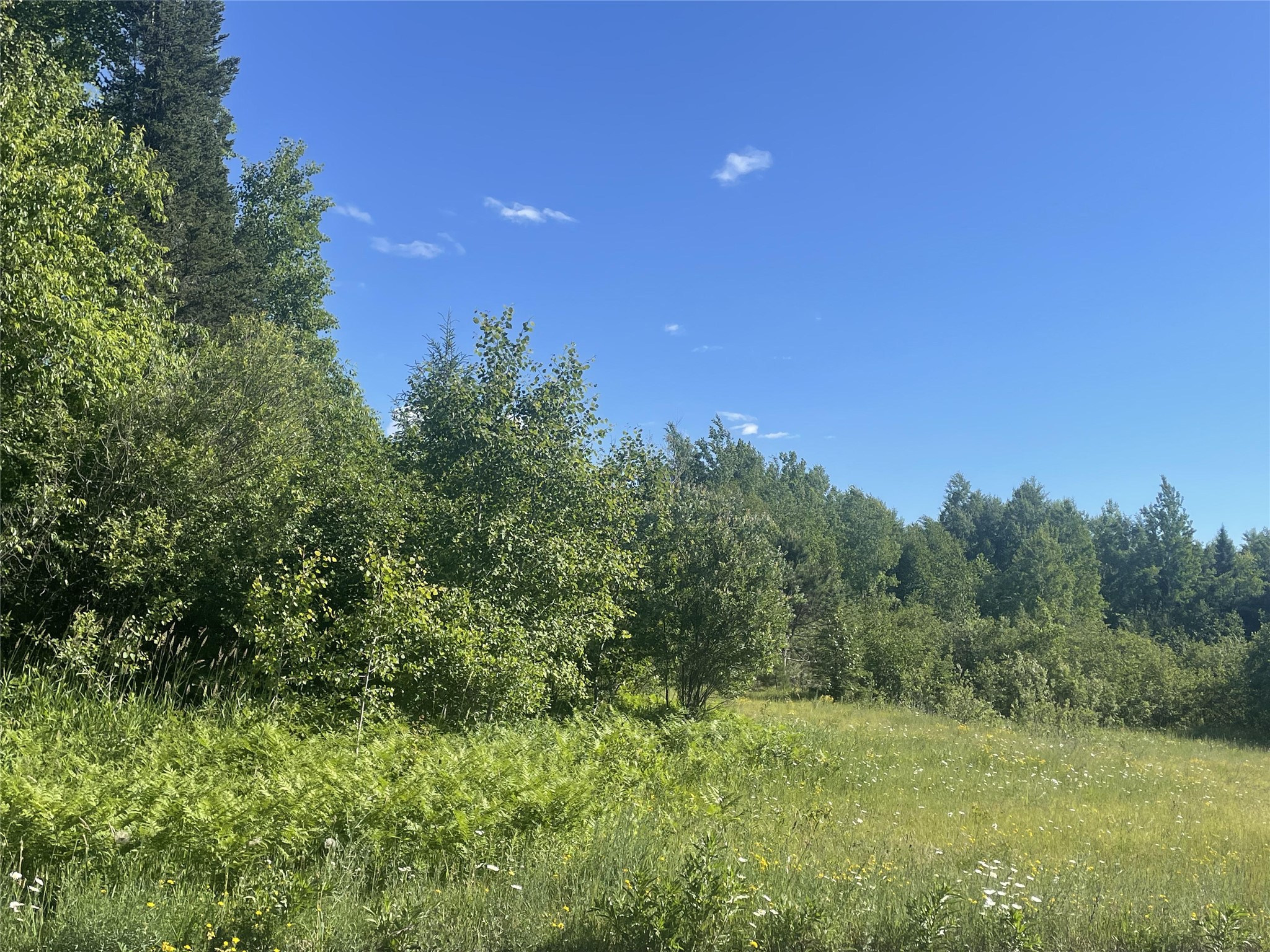 39+/- A On County Highway E Property Photo 3