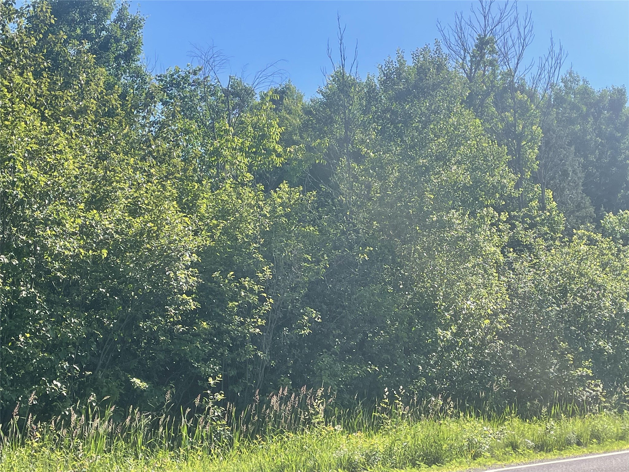 39+/- A On County Highway E Property Photo 5