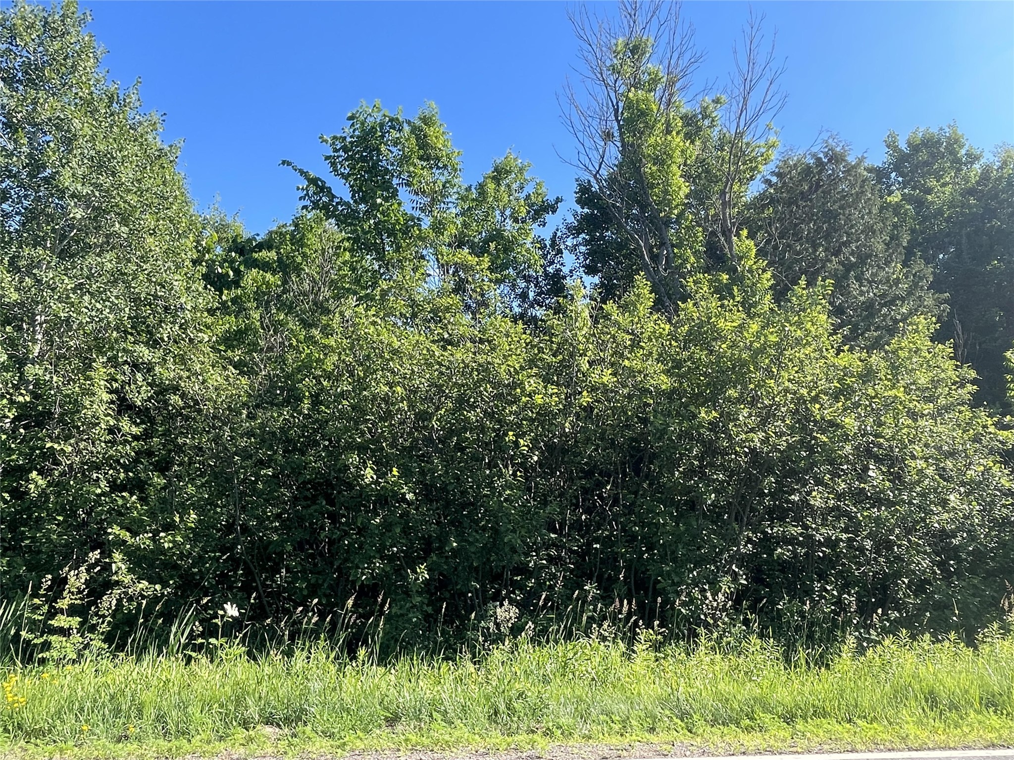 39+/- A On County Highway E Property Photo 6
