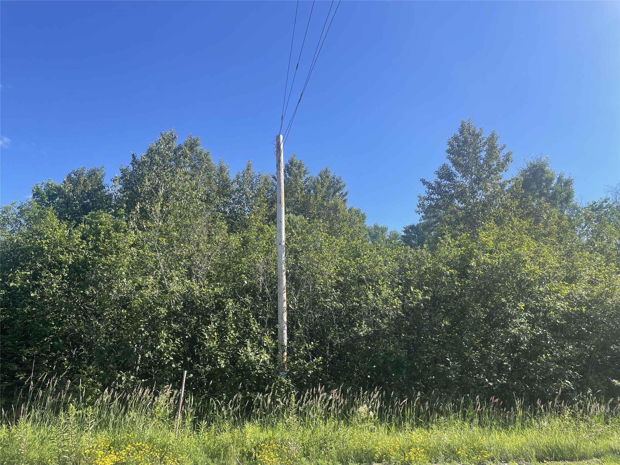 39+/- A On County Highway E Property Photo 8