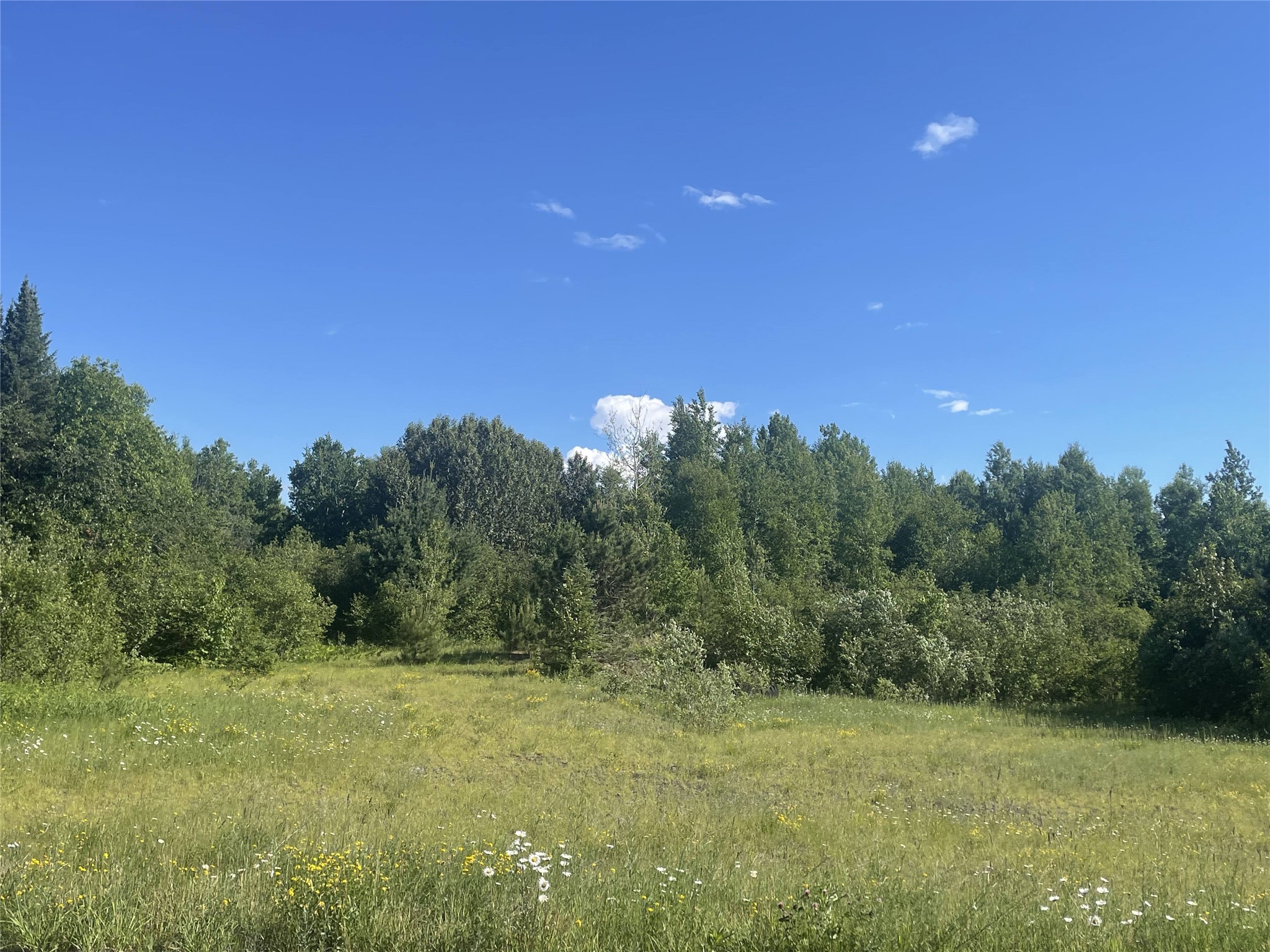 39+/- A On County Highway E Property Photo 10
