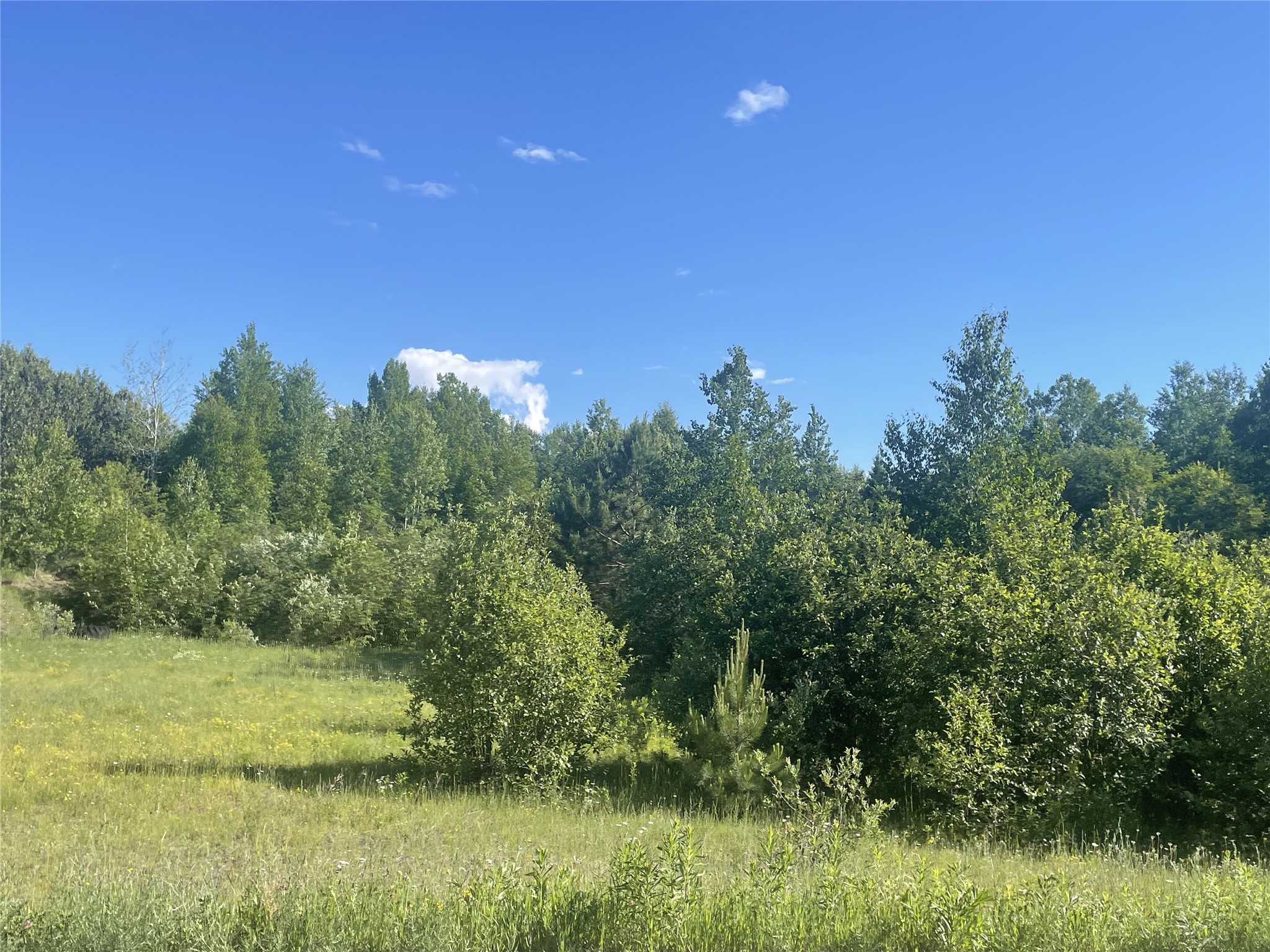 39+/- A On County Highway E Property Photo 11