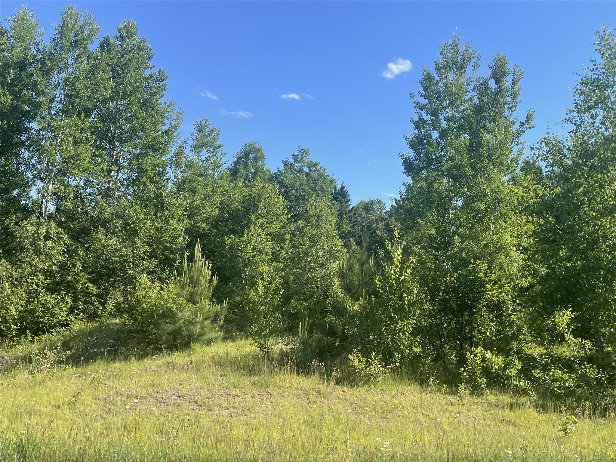 39+/- A On County Highway E Property Photo 12
