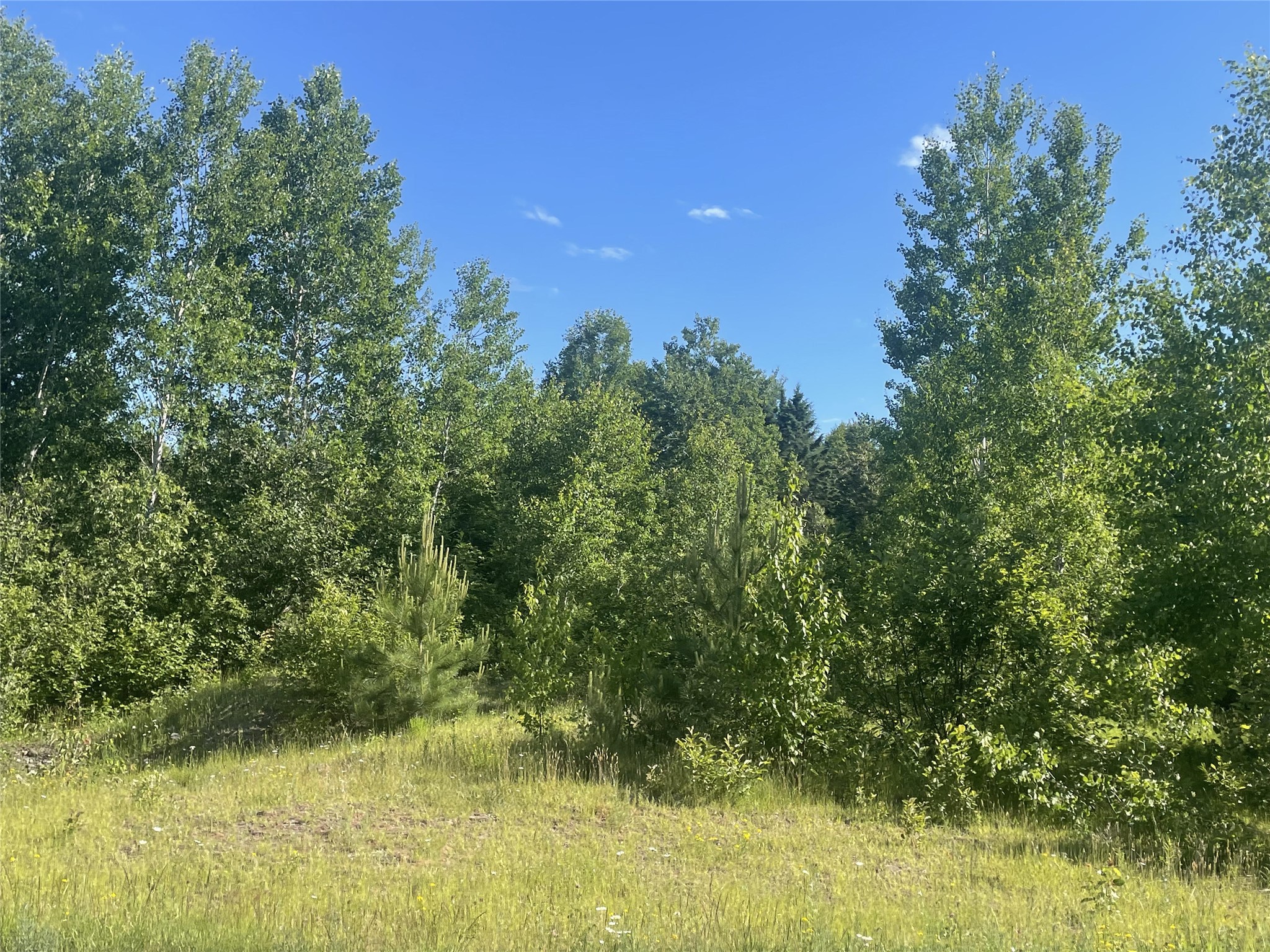 39+/- A On County Highway E Property Photo 13