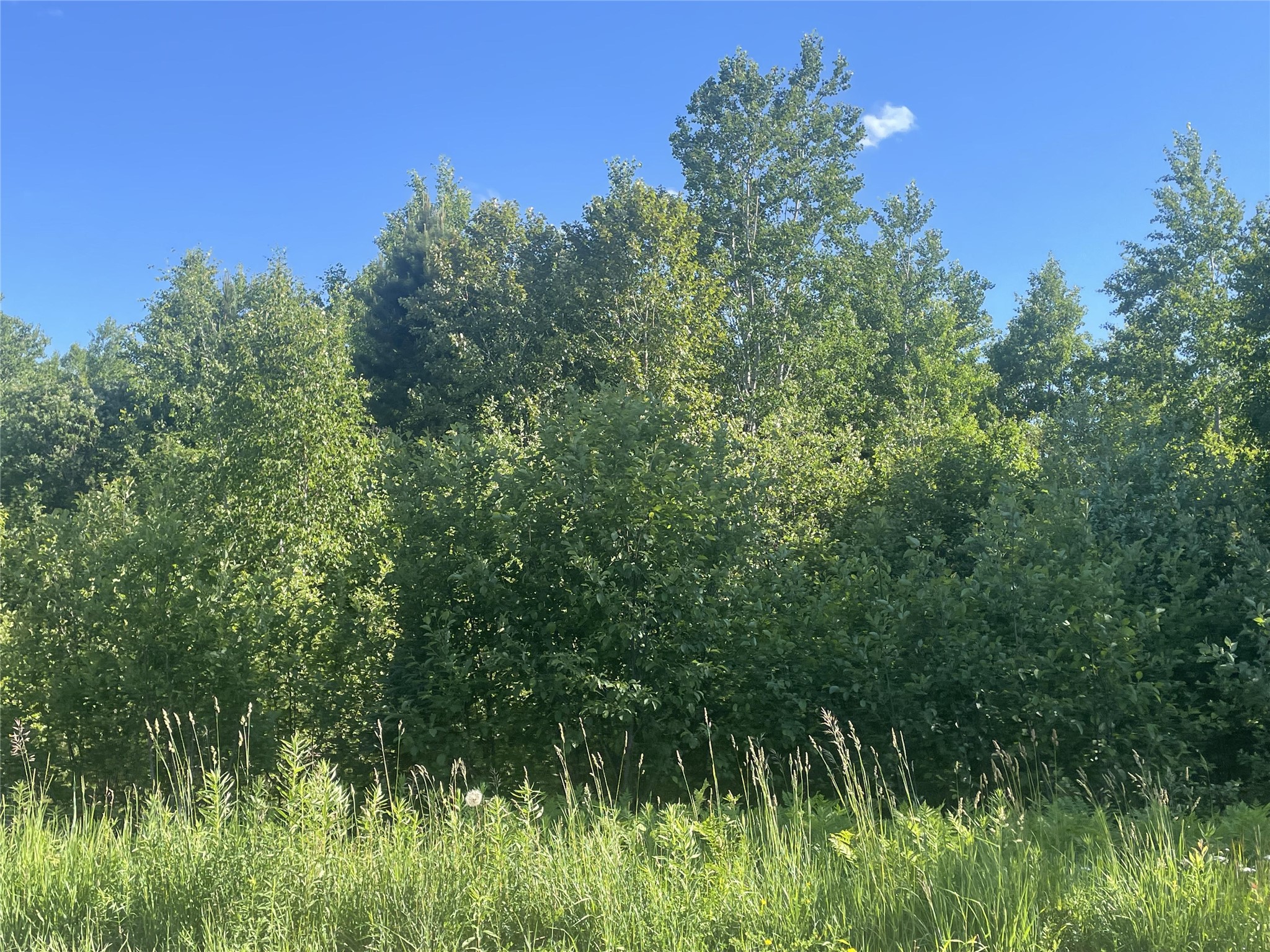 39+/- A On County Highway E Property Photo 14