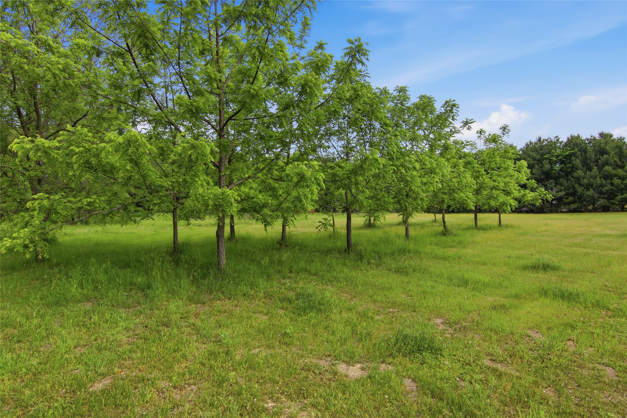 Lot 5 660th Avenue Property Photo 29