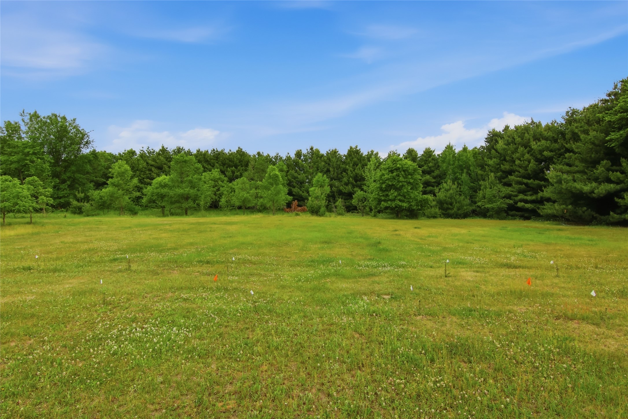 Lot 5 660th Avenue Property Photo 31