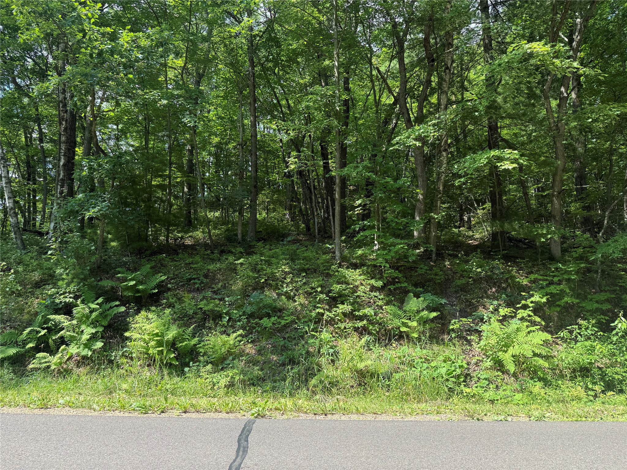 1.79 Acre N 90th Avenue Property Photo 1