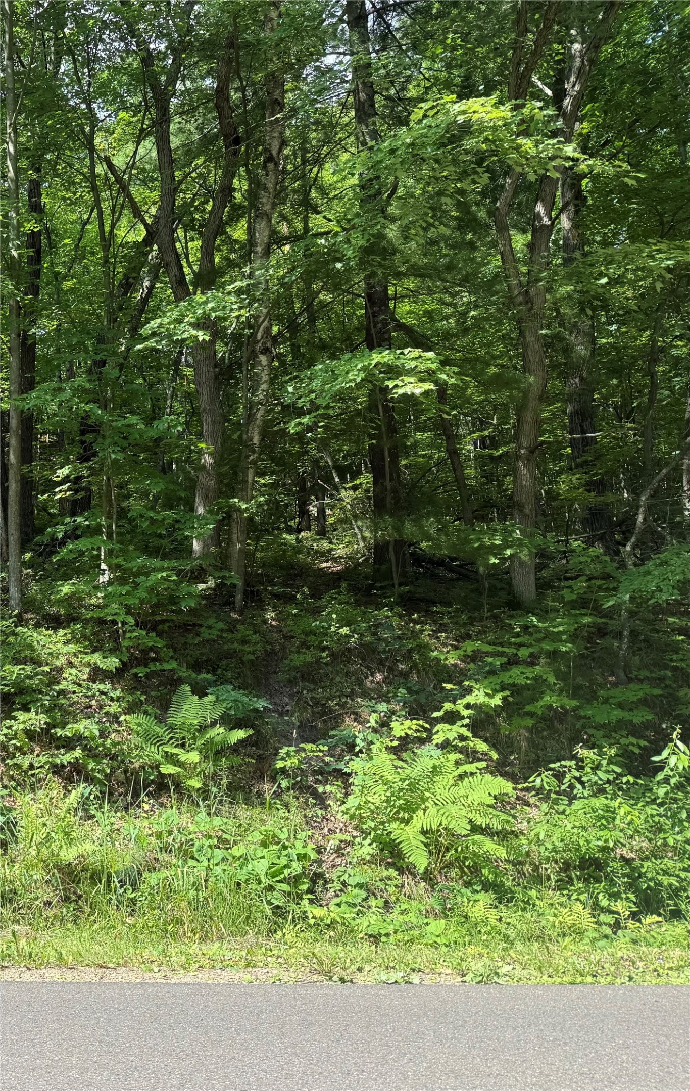 2.81 Acre N 90th Avenue Property Photo 1