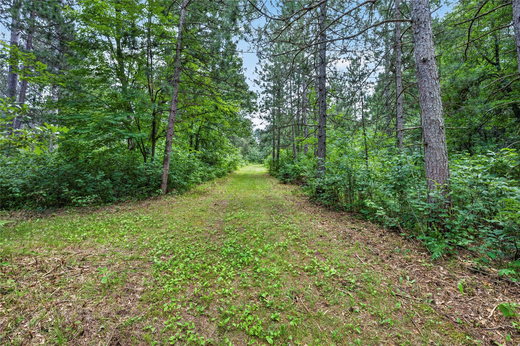 N7847 County Highway K Property Photo 44