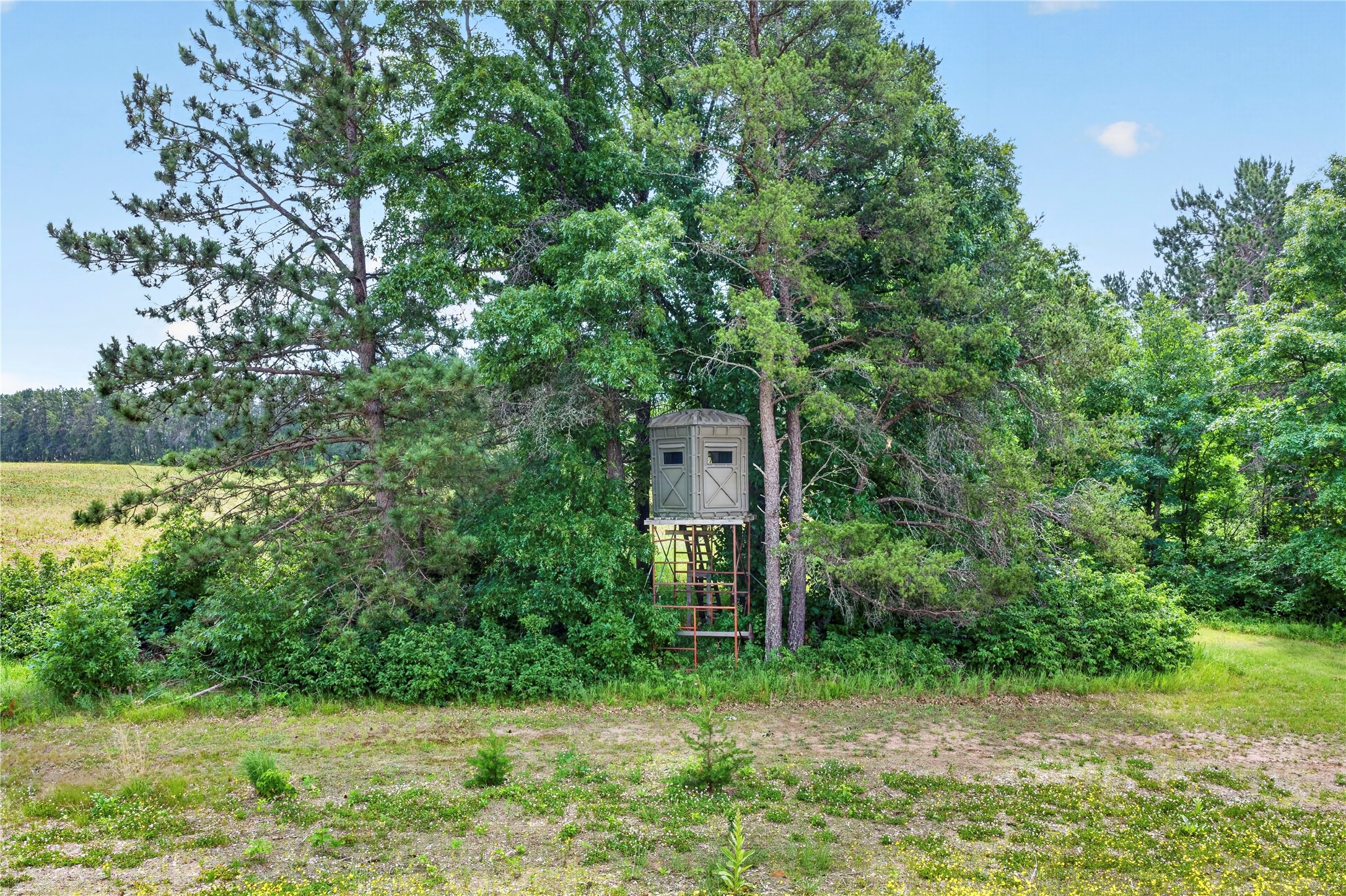 N7847 County Highway K Property Photo 45