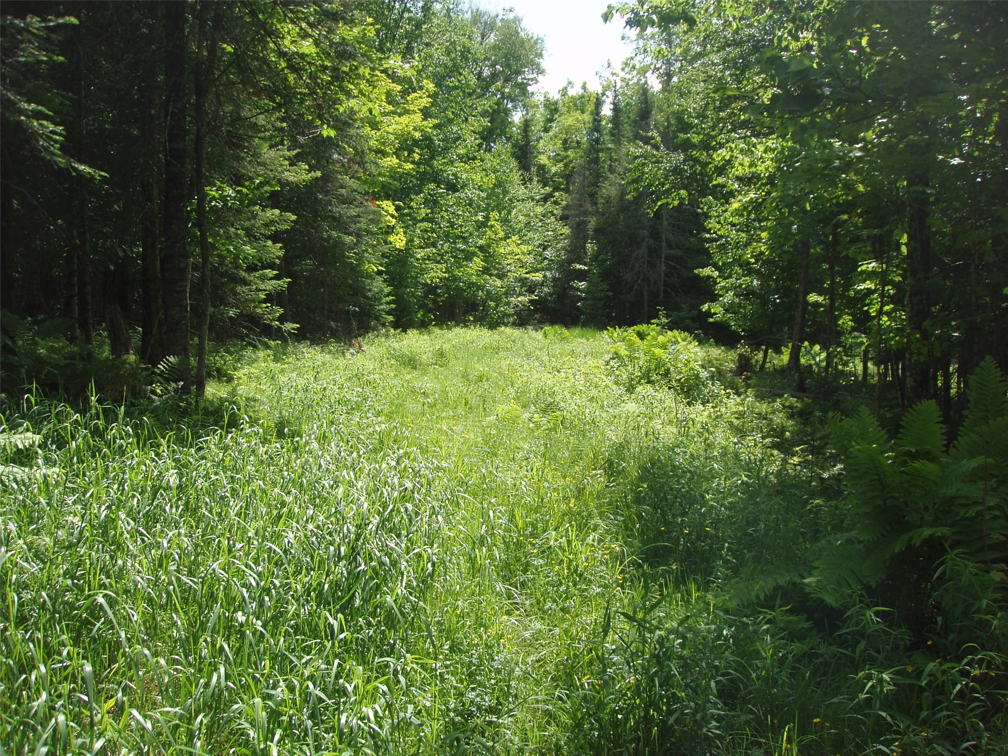 80521 Bear Lake Road Property Photo 13