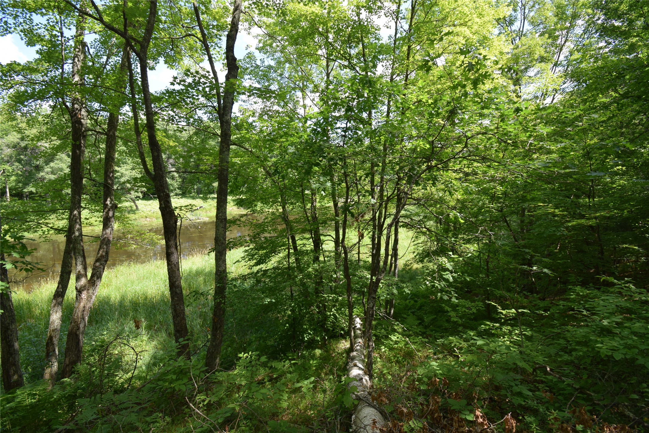 Lot 2 Saylors Lane Property Photo 3