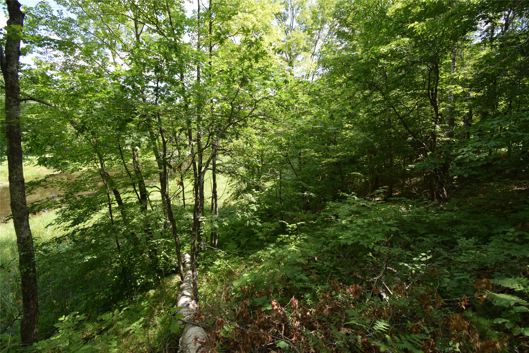 Lot 2 Saylors Lane Property Photo 8