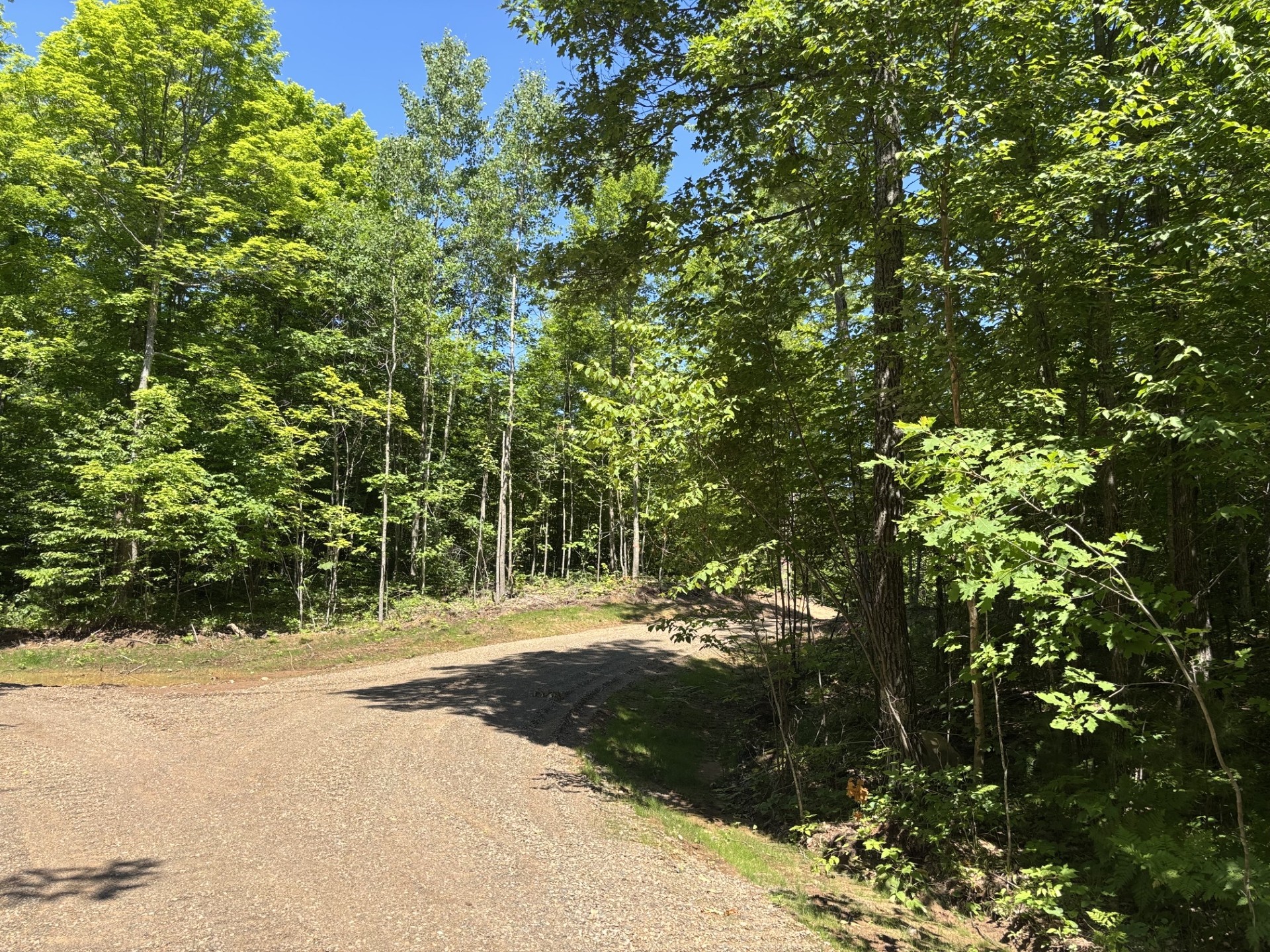 11401n Vasa Road Property Photo 3