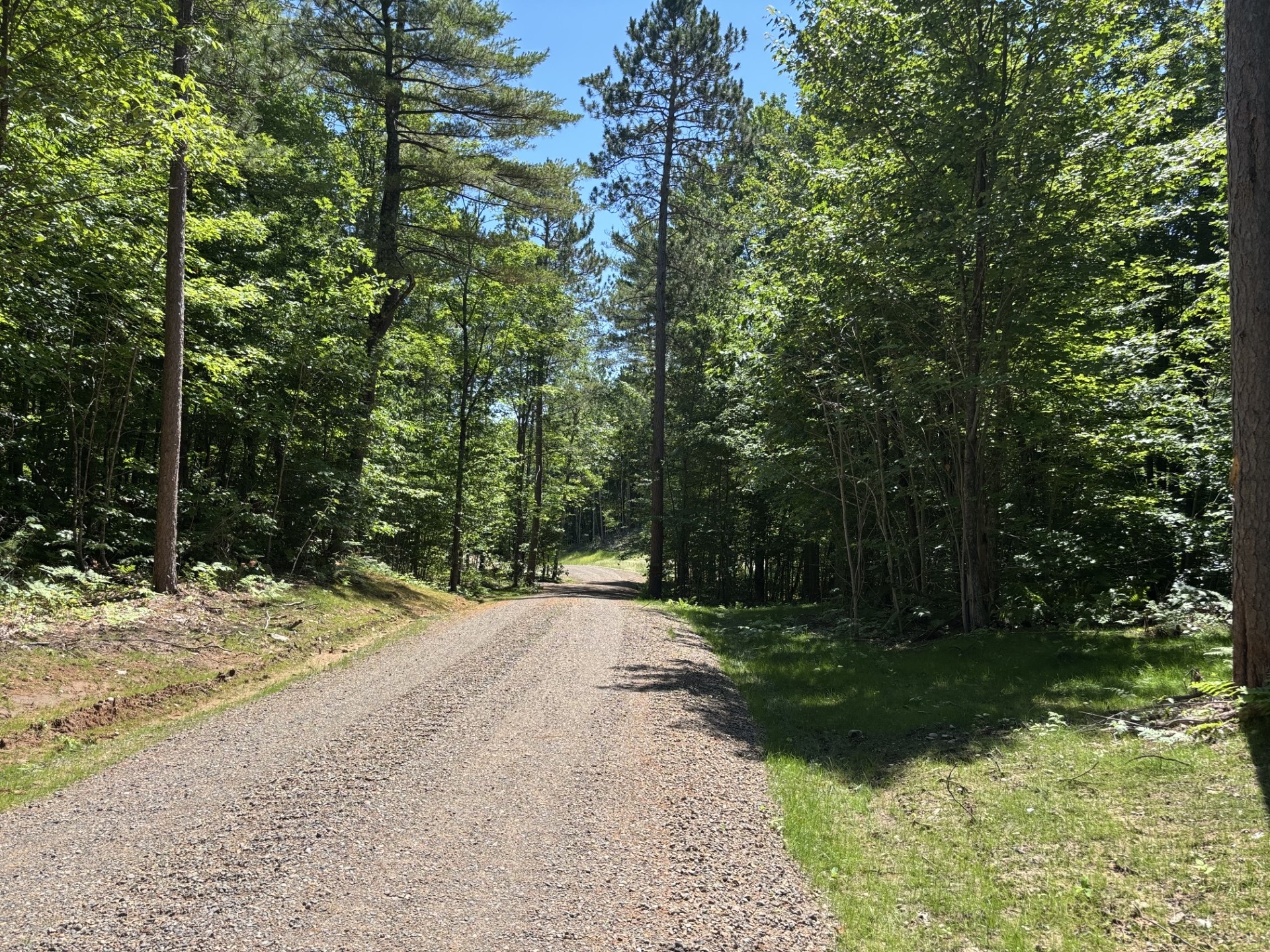 11401n Vasa Road Property Photo 4