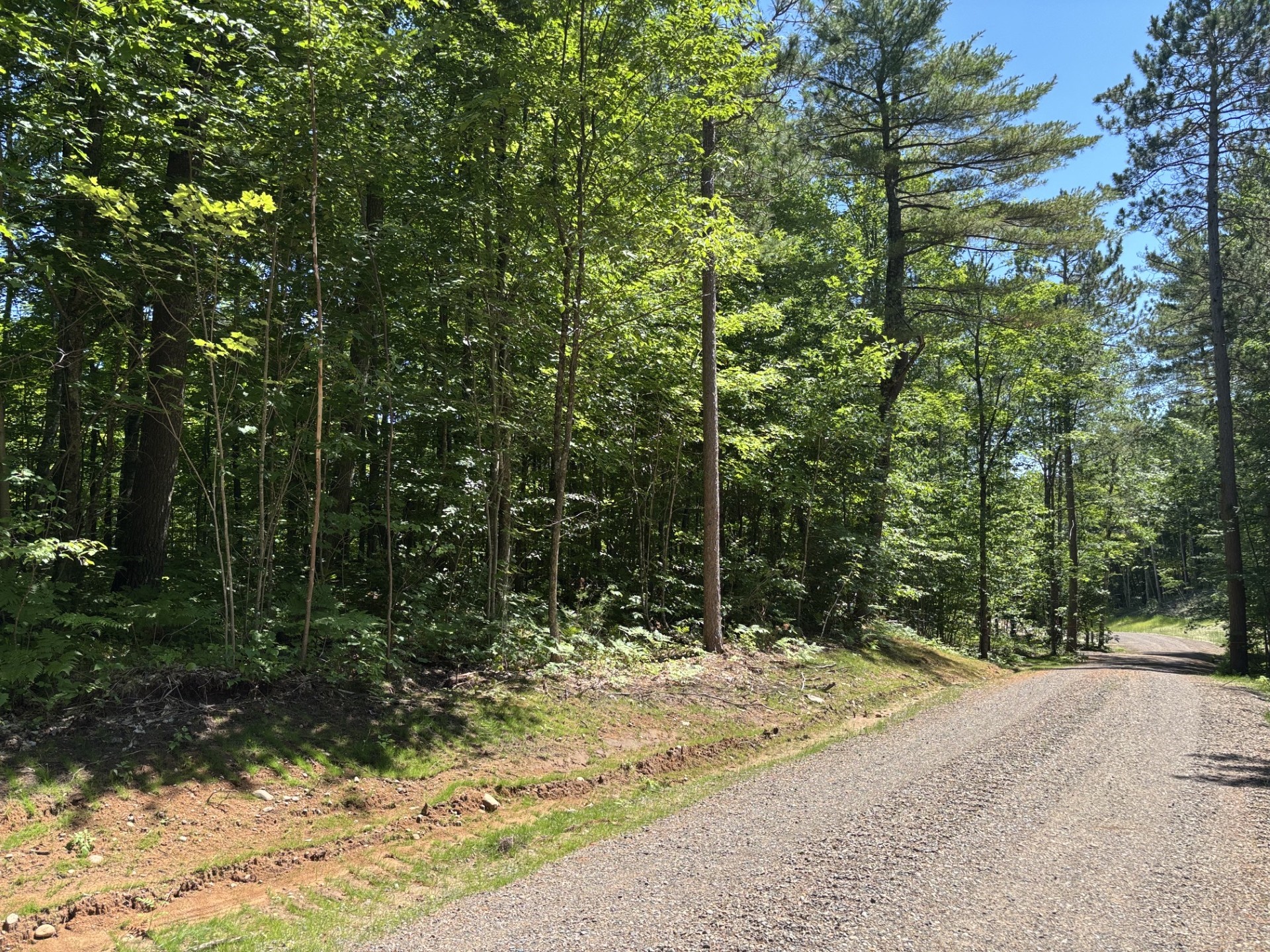 11401n Vasa Road Property Photo 8