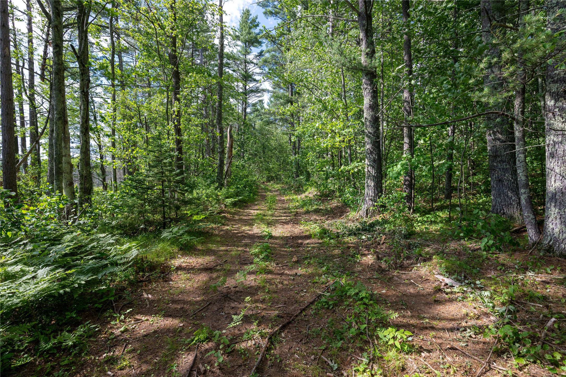 11401n Vasa Road Property Photo 11