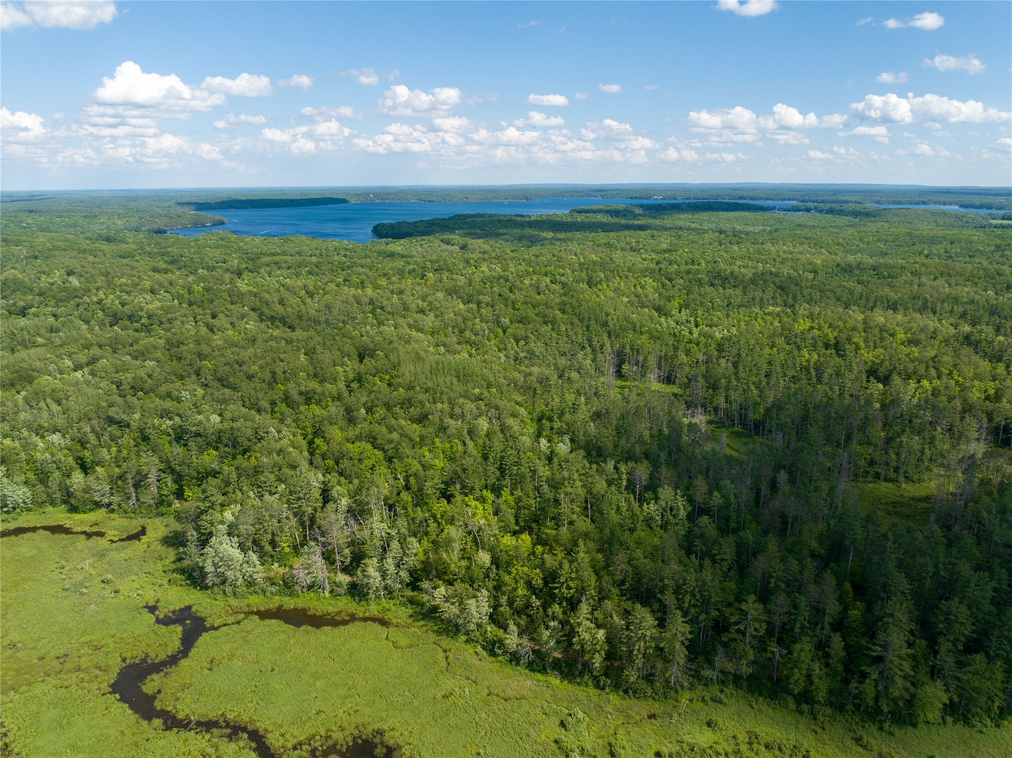 11401n Vasa Road Property Photo 13