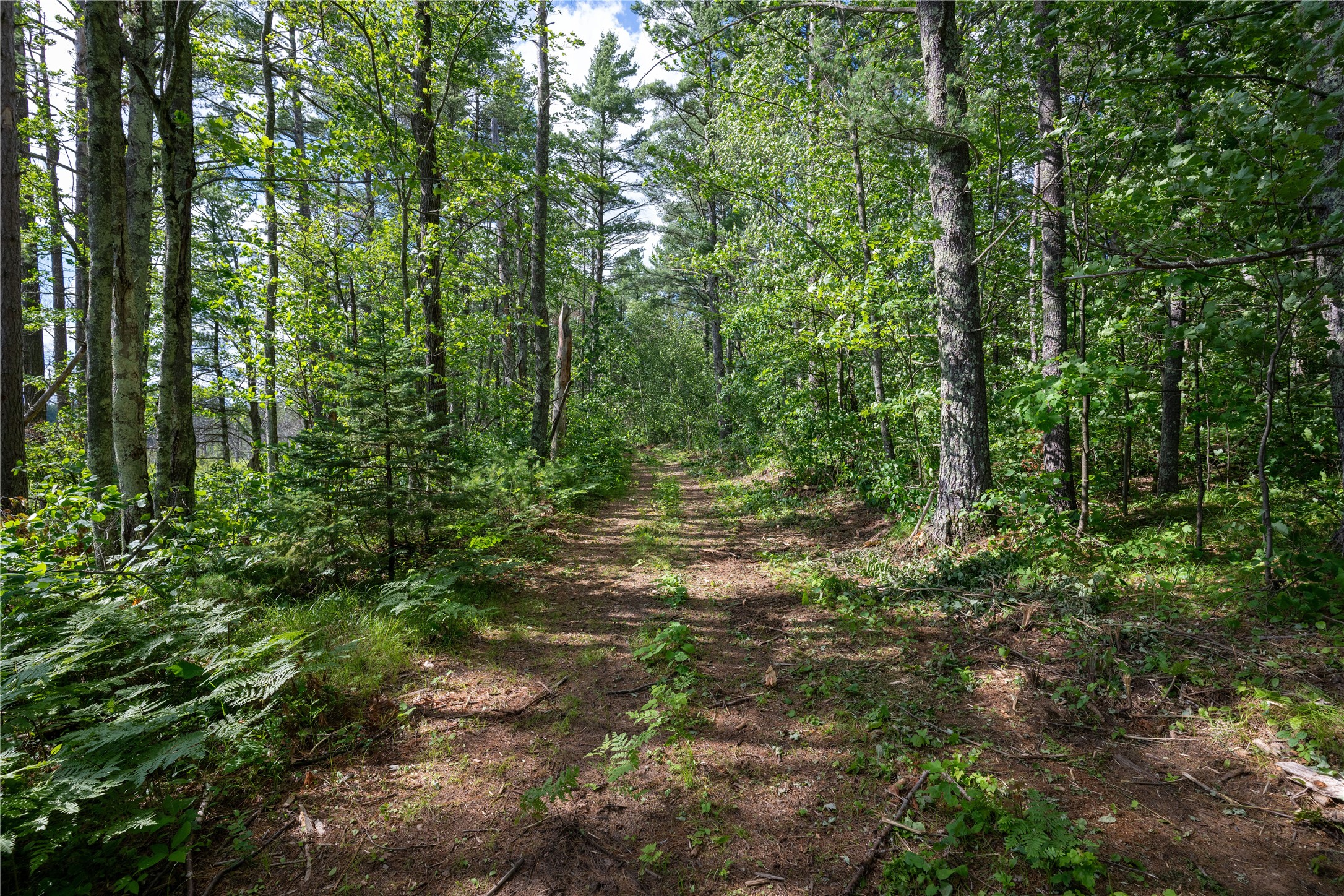 11401n Vasa Road Property Photo 14