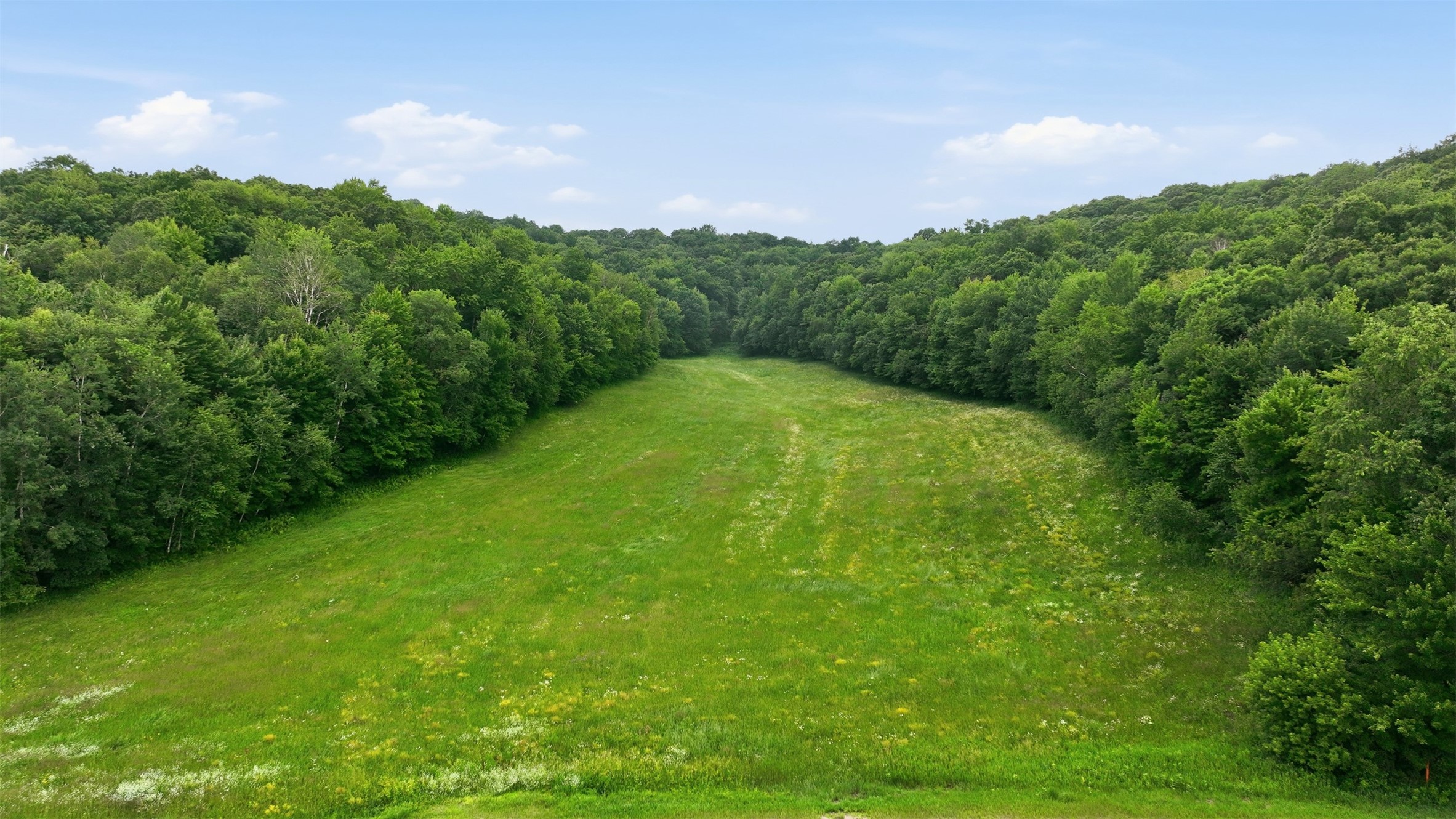 40 Acres County Road S Property Photo 1