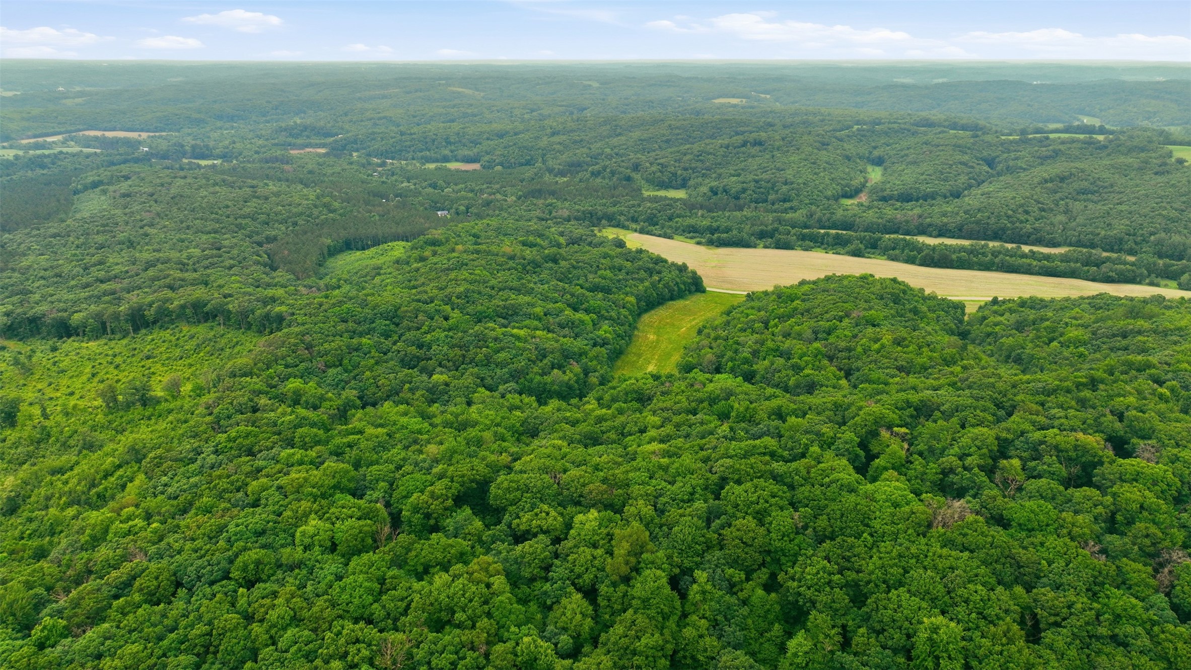 40 Acres County Road S Property Photo 5
