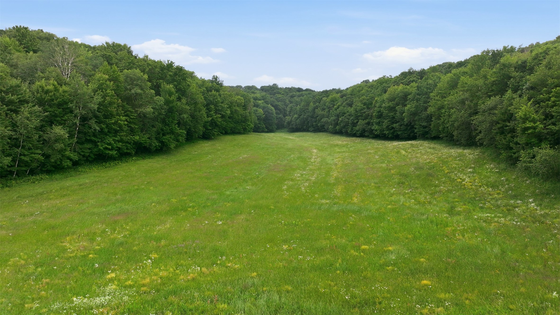 40 Acres County Road S Property Photo 8