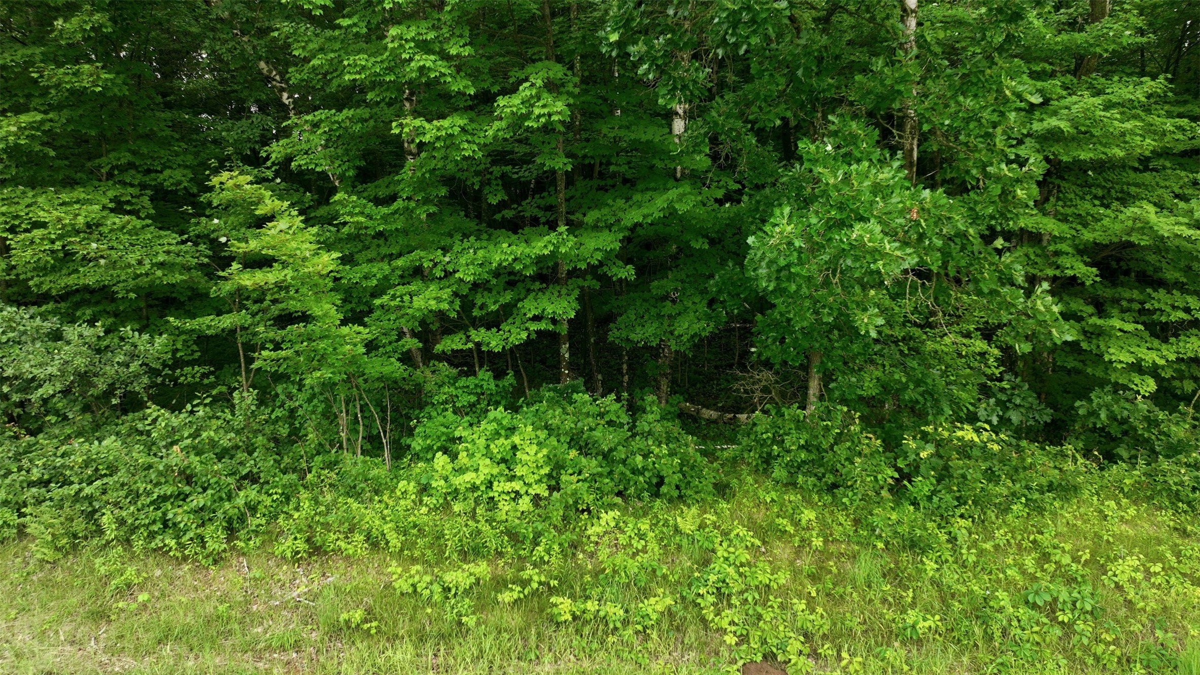 40 Acres County Road S Property Photo 11