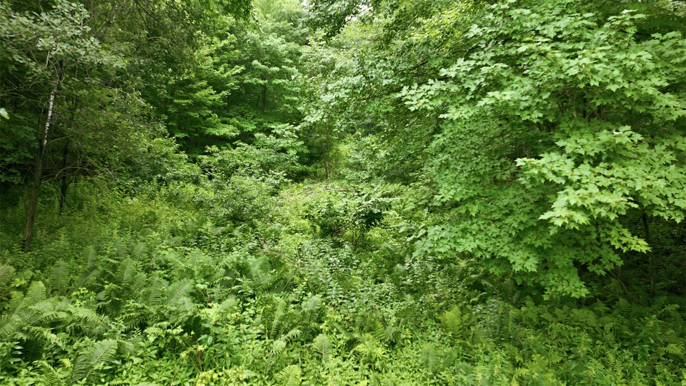 40 Acres County Road S Property Photo 12