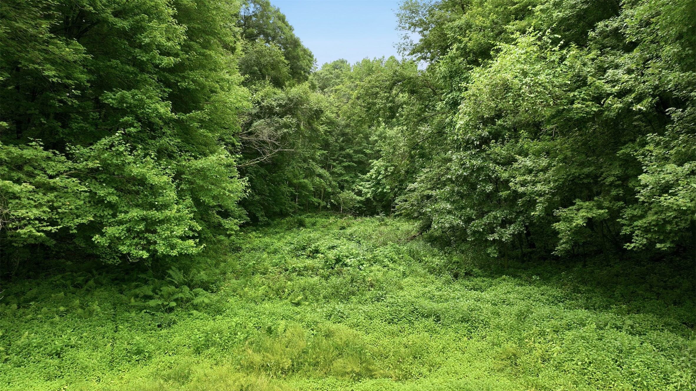 40 Acres County Road S Property Photo 13