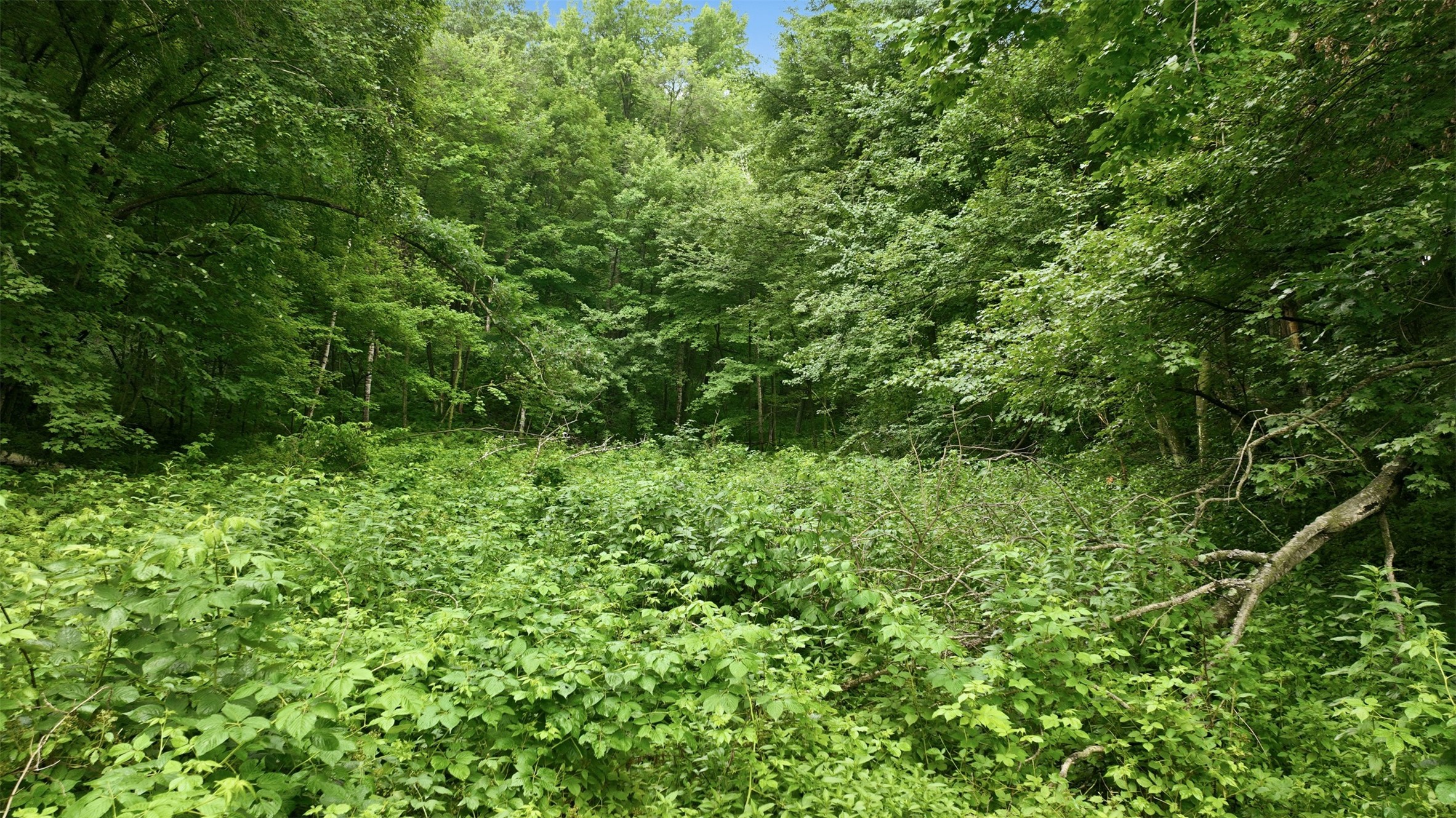40 Acres County Road S Property Photo 14