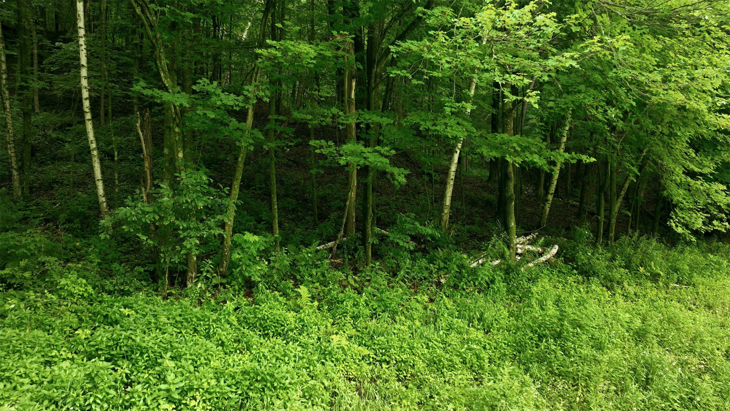 40 Acres County Road S Property Photo 15