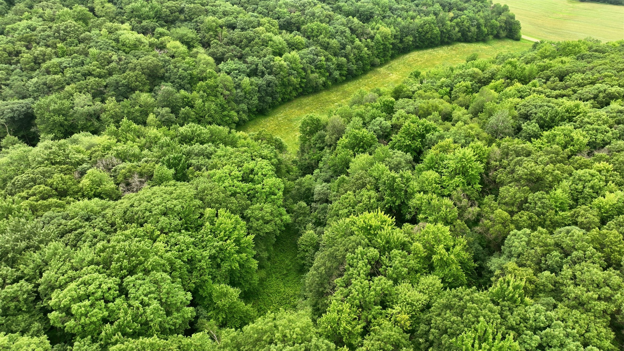 40 Acres County Road S Property Photo 16