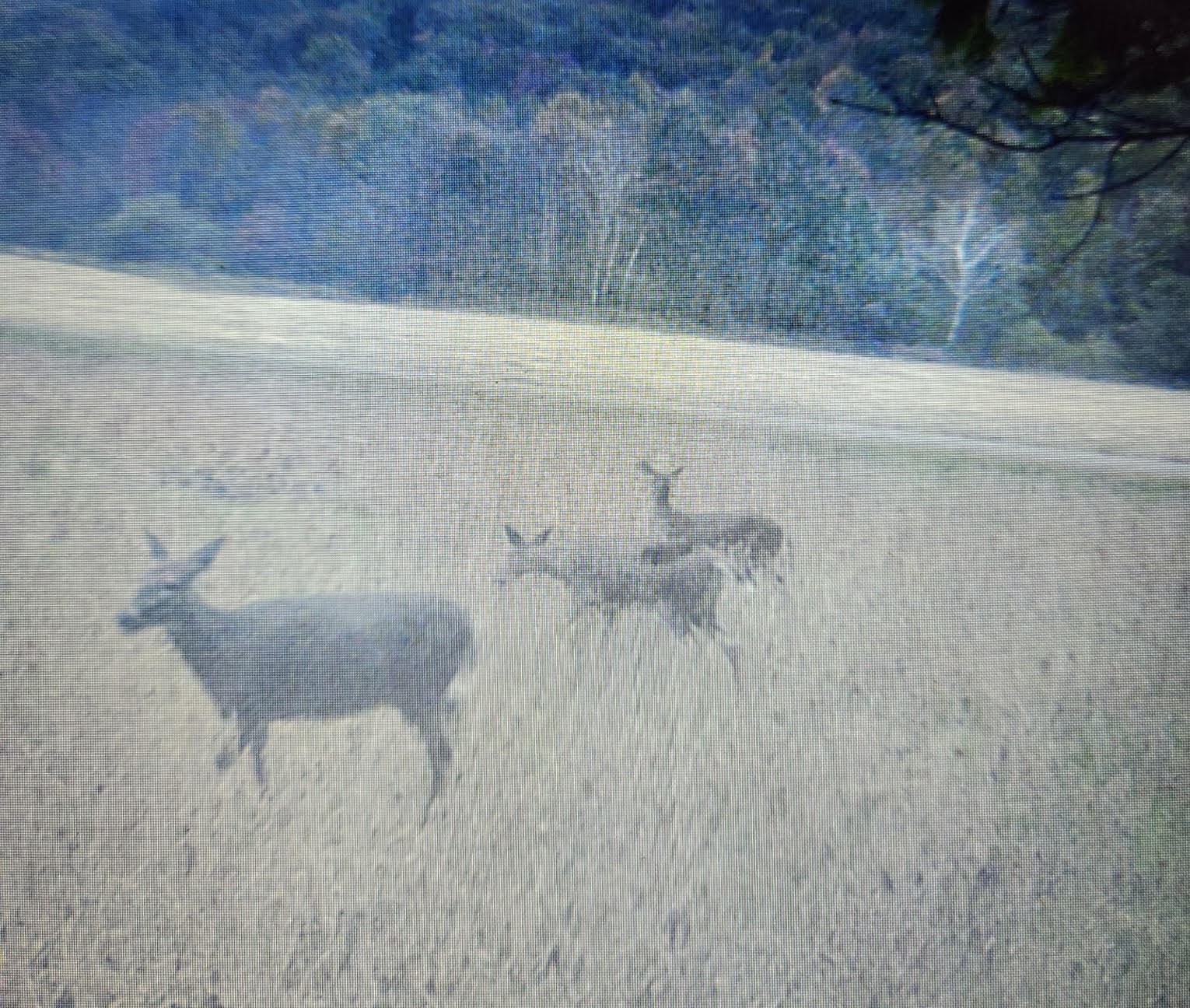 40 Acres County Road S Property Photo 22