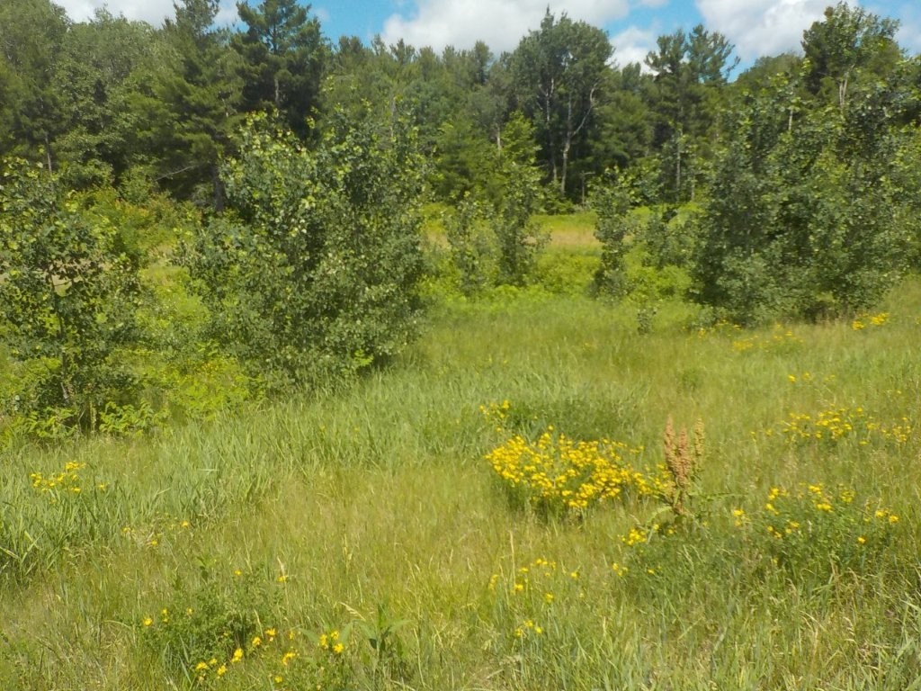 24361 Highway 35/70 Property Photo 2
