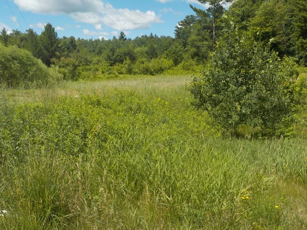 24361 Highway 35/70 Property Photo 3