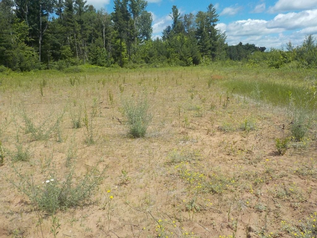 24361 Highway 35/70 Property Photo 4